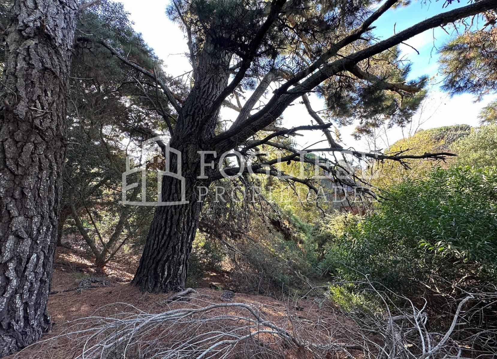 Lote en Venta Mar de las Pampas de 450 m2 — foto 6