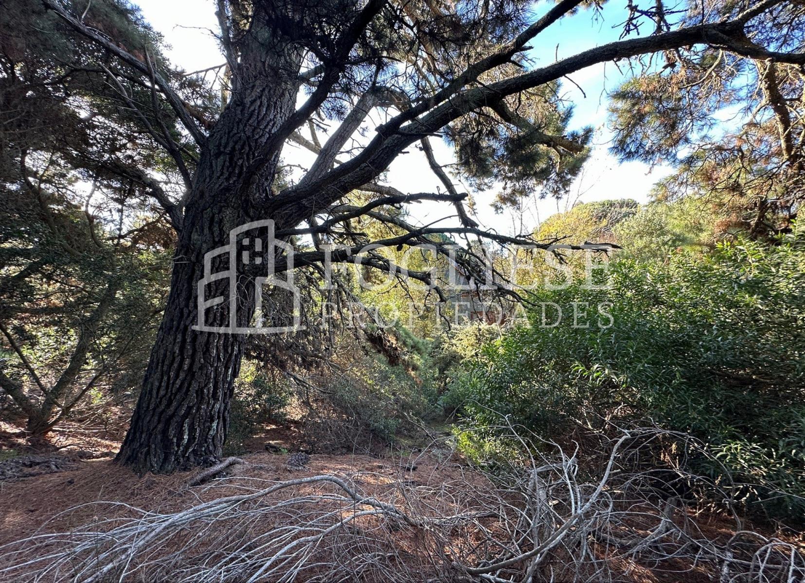 Lote en Venta Mar de las Pampas de 450 m2 — foto 7