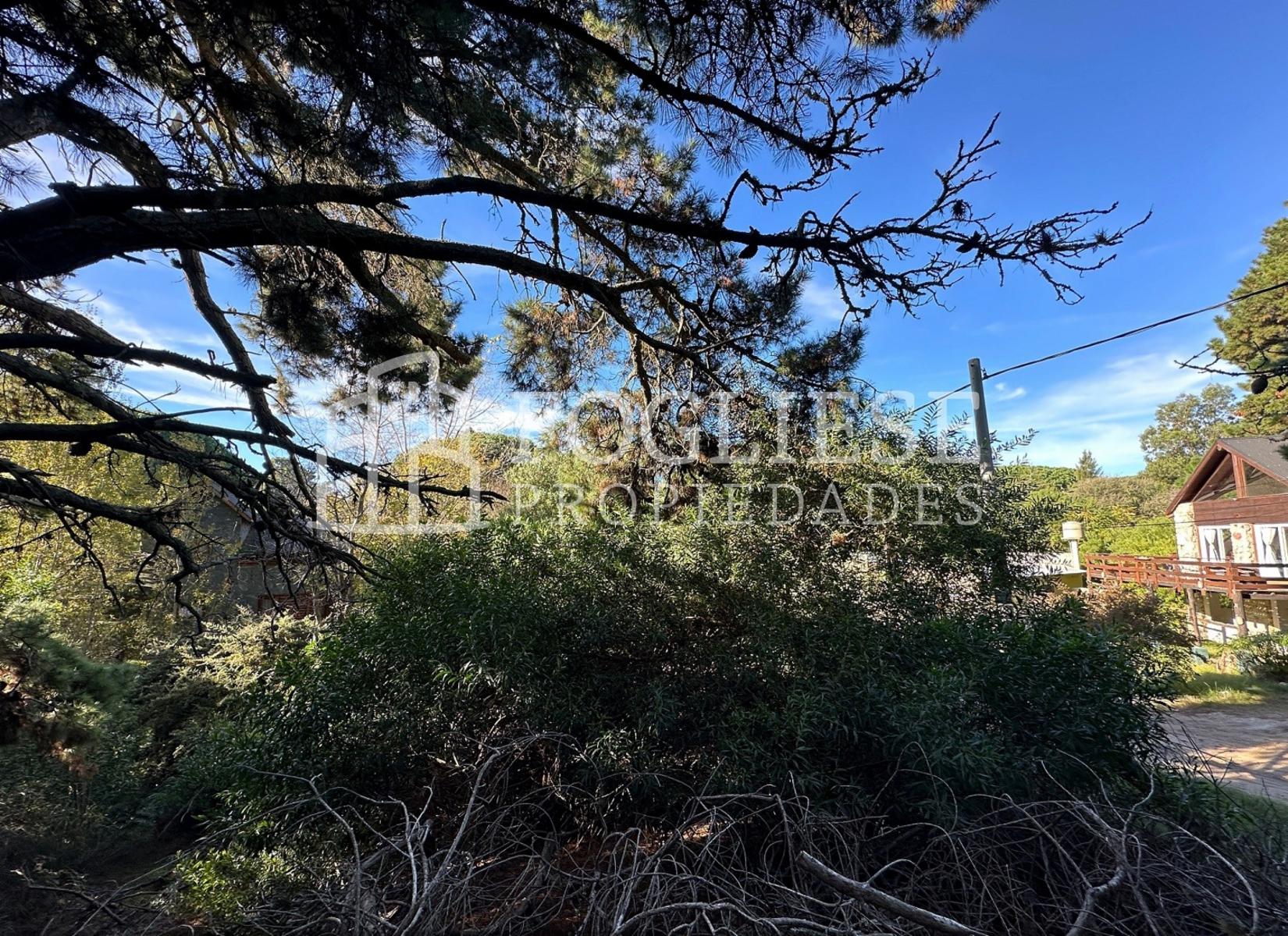 Lote en Venta Mar de las Pampas de 450 m2 — foto 8