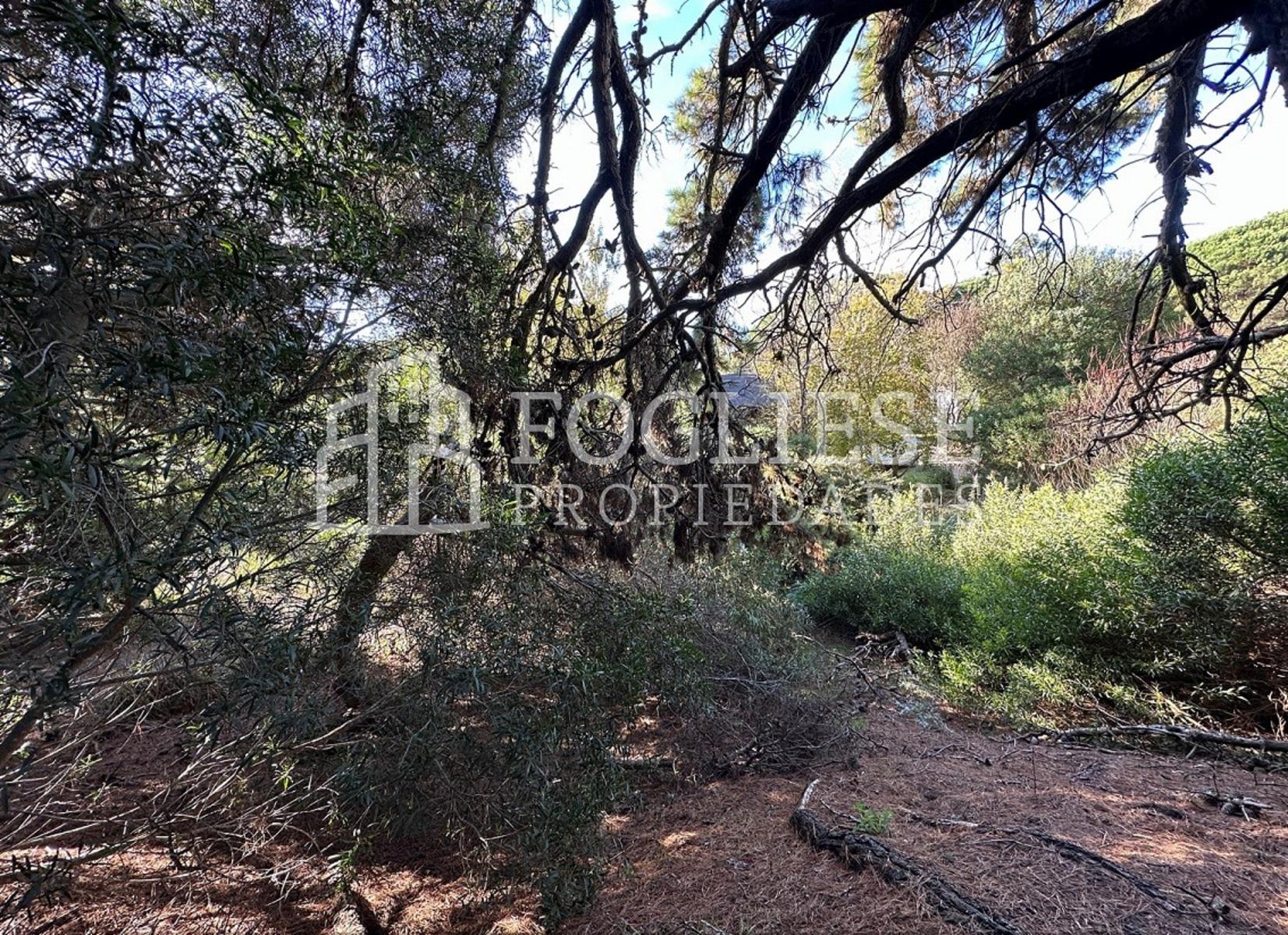 Lote en Venta Mar de las Pampas de 450 m2 — foto 9