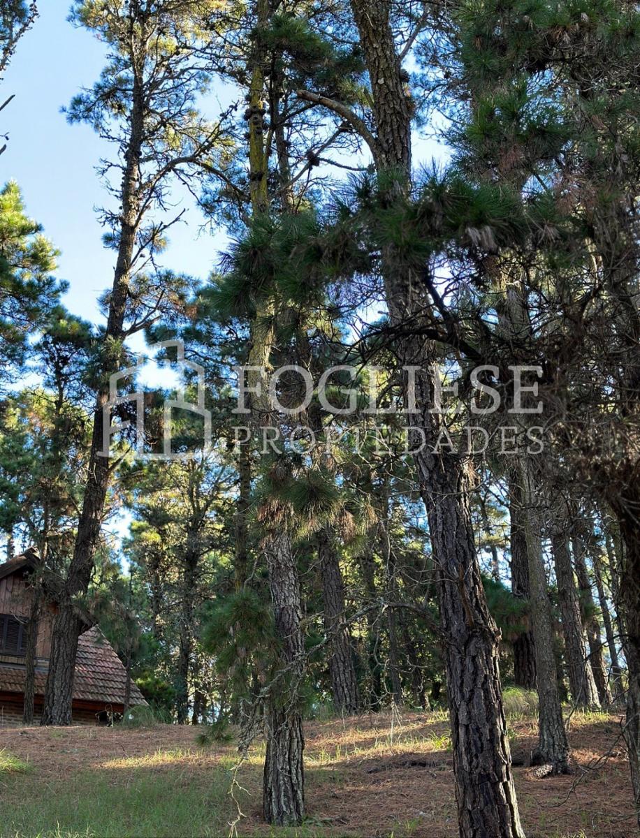 Lote en Venta Mar de las Pampas de 450 m2 — foto 10