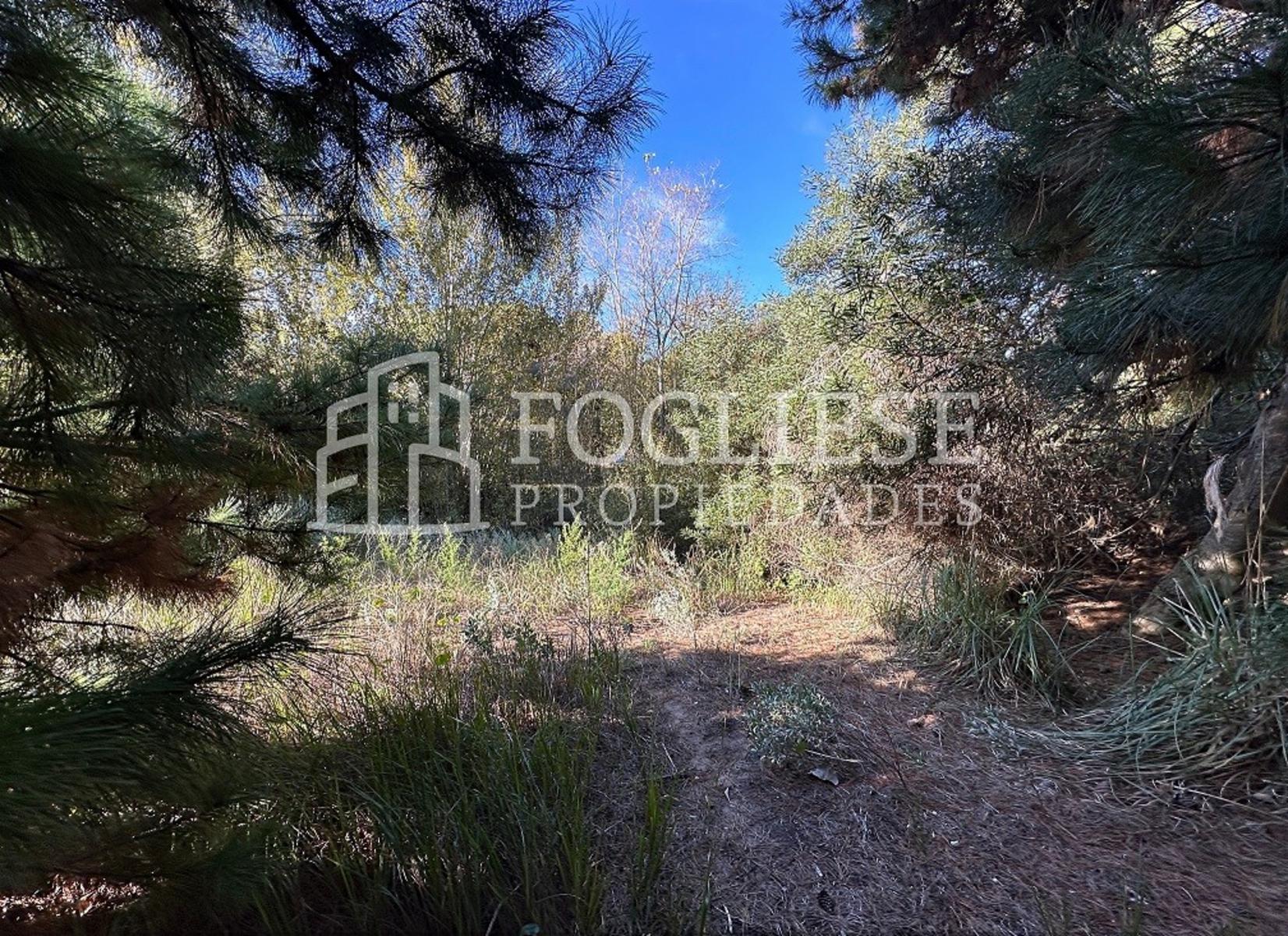 Lote en Venta Mar de las Pampas de 450 m2 — foto 11