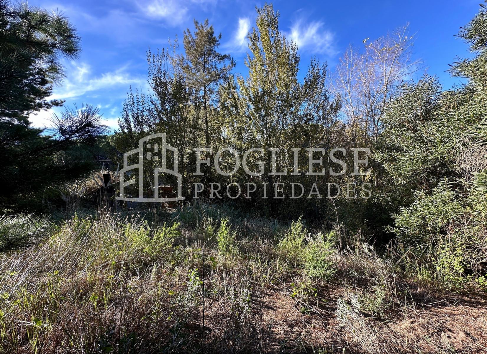 Lote en Venta Mar de las Pampas de 450 m2 — foto 12