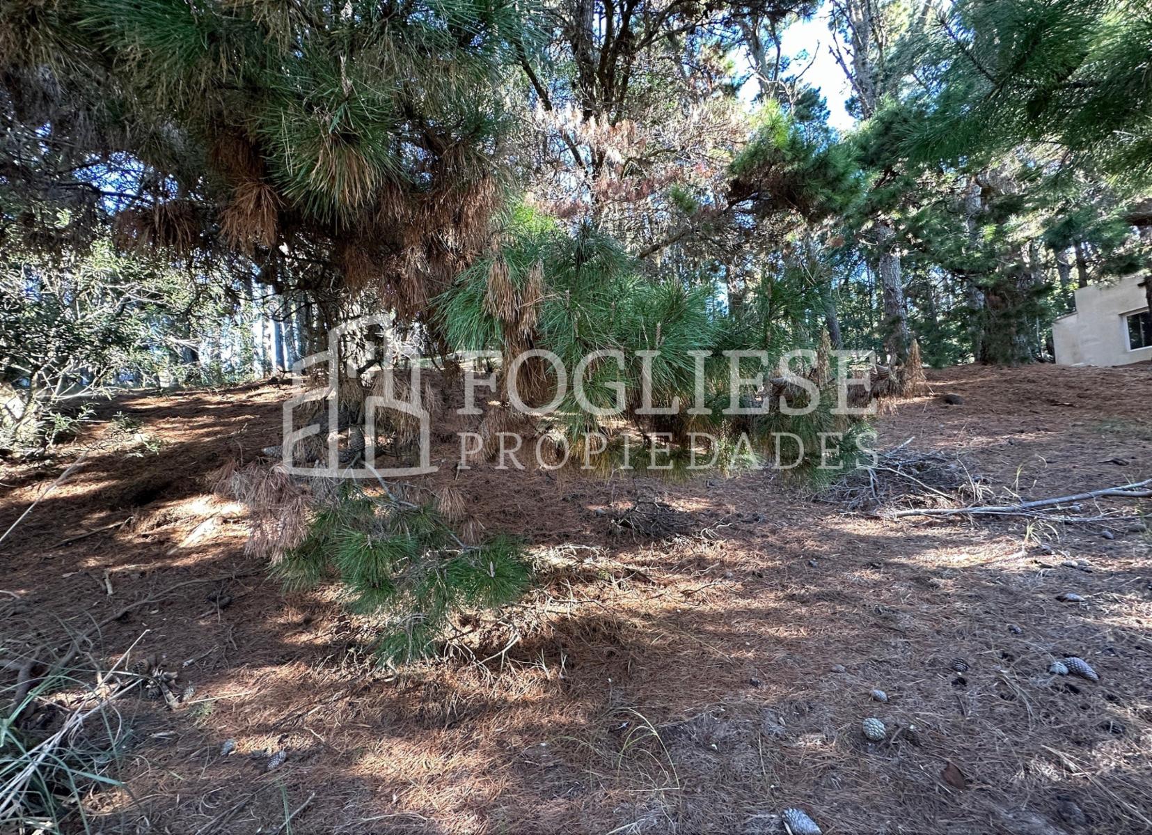 Lote en Venta Mar de las Pampas de 450 m2 — foto 13