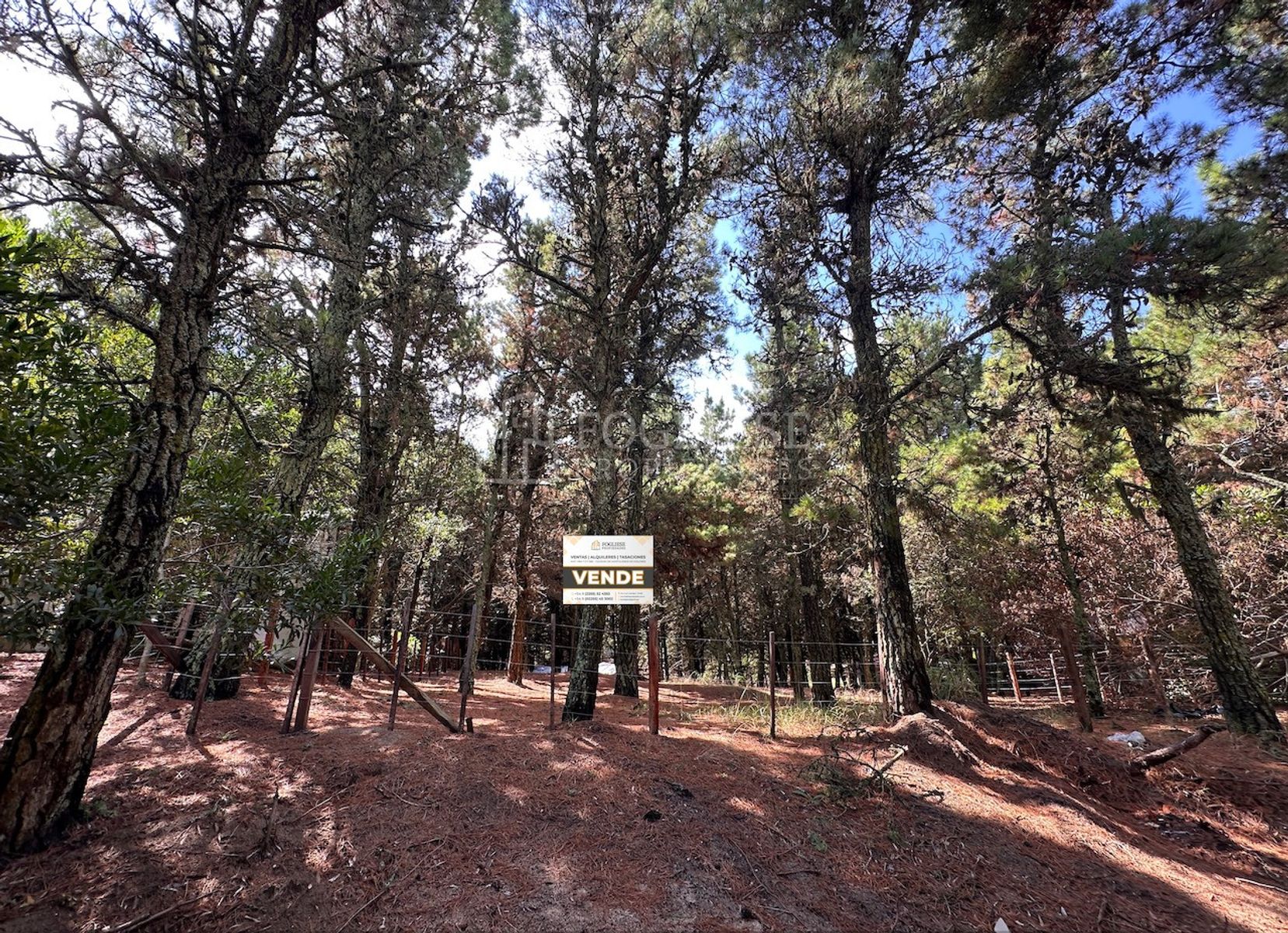 Lote en Venta Mar de las Pampas — foto 3