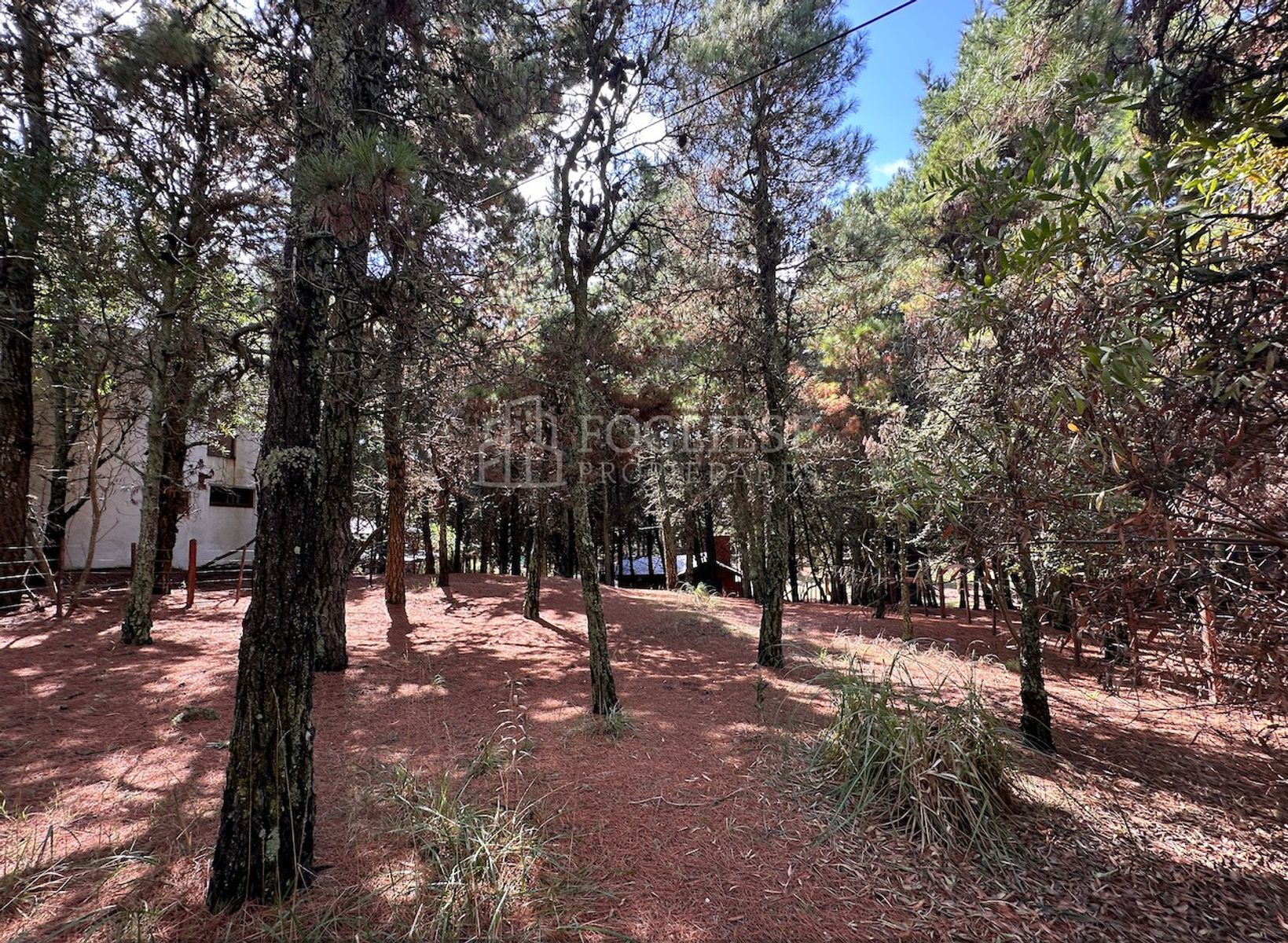 Lote en Venta Mar de las Pampas — foto 4