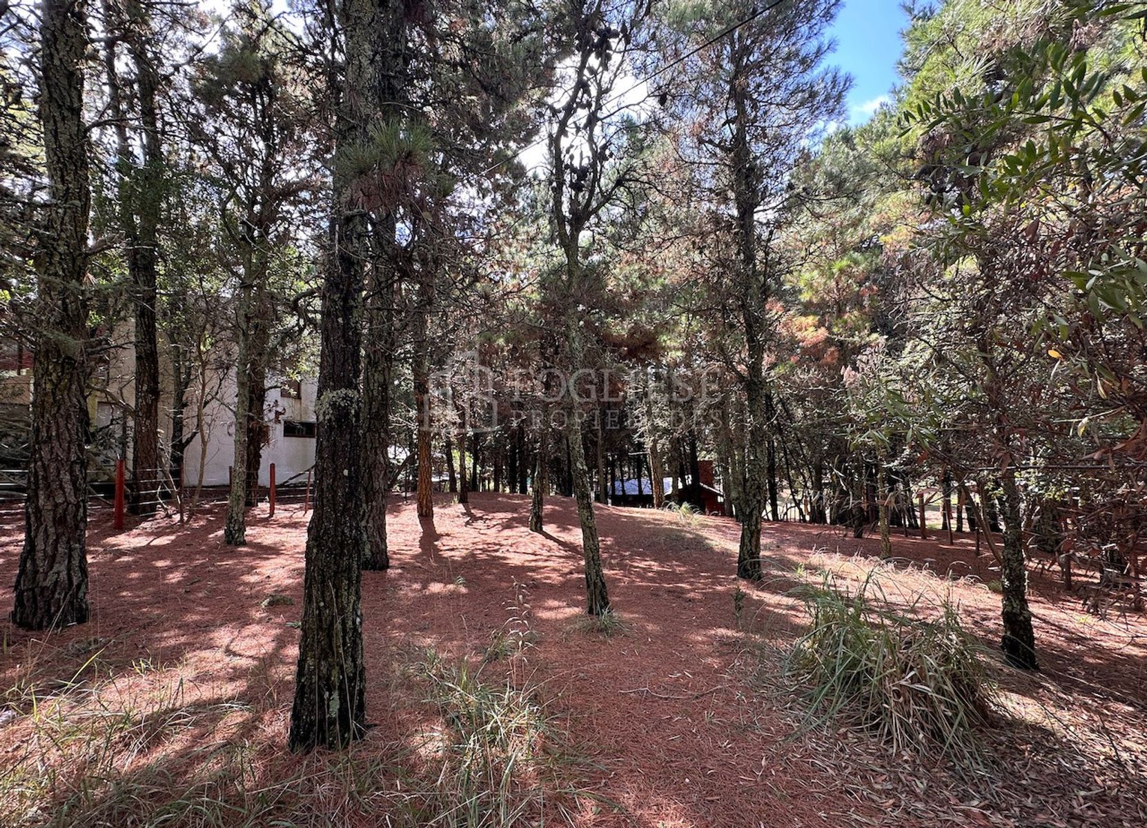 Lote en Venta Mar de las Pampas — foto 5