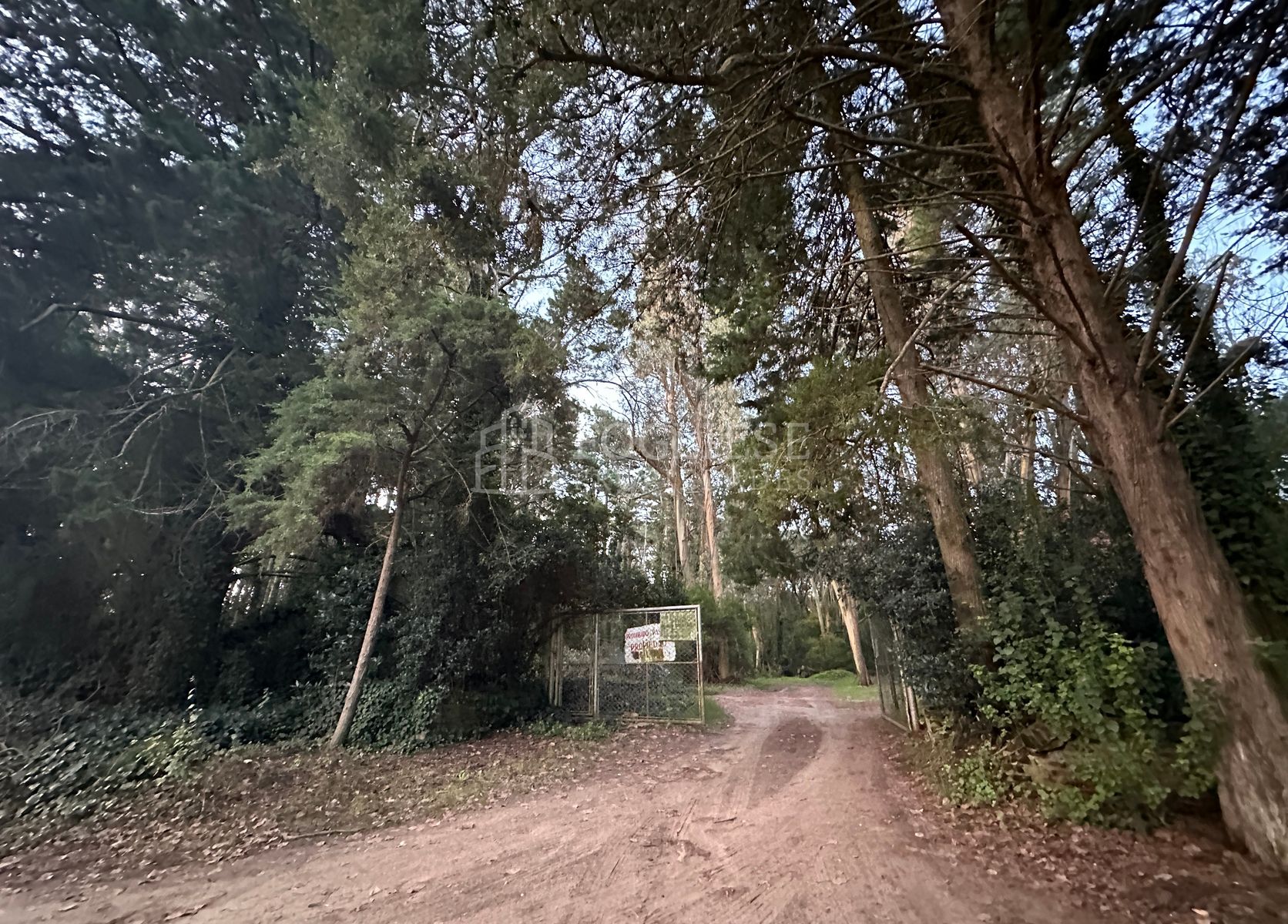 Lotes en Venta Zona Turistica Temática