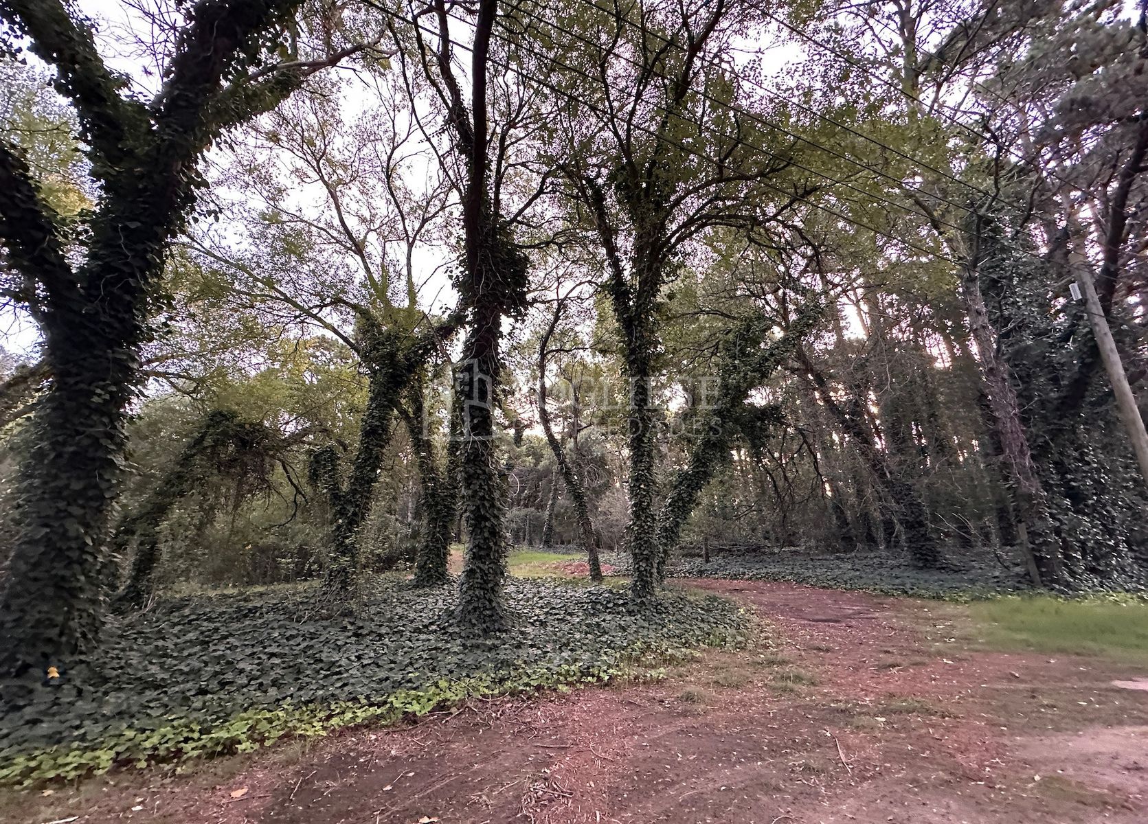 Lotes en Venta Zona Turistica Temática — foto 3
