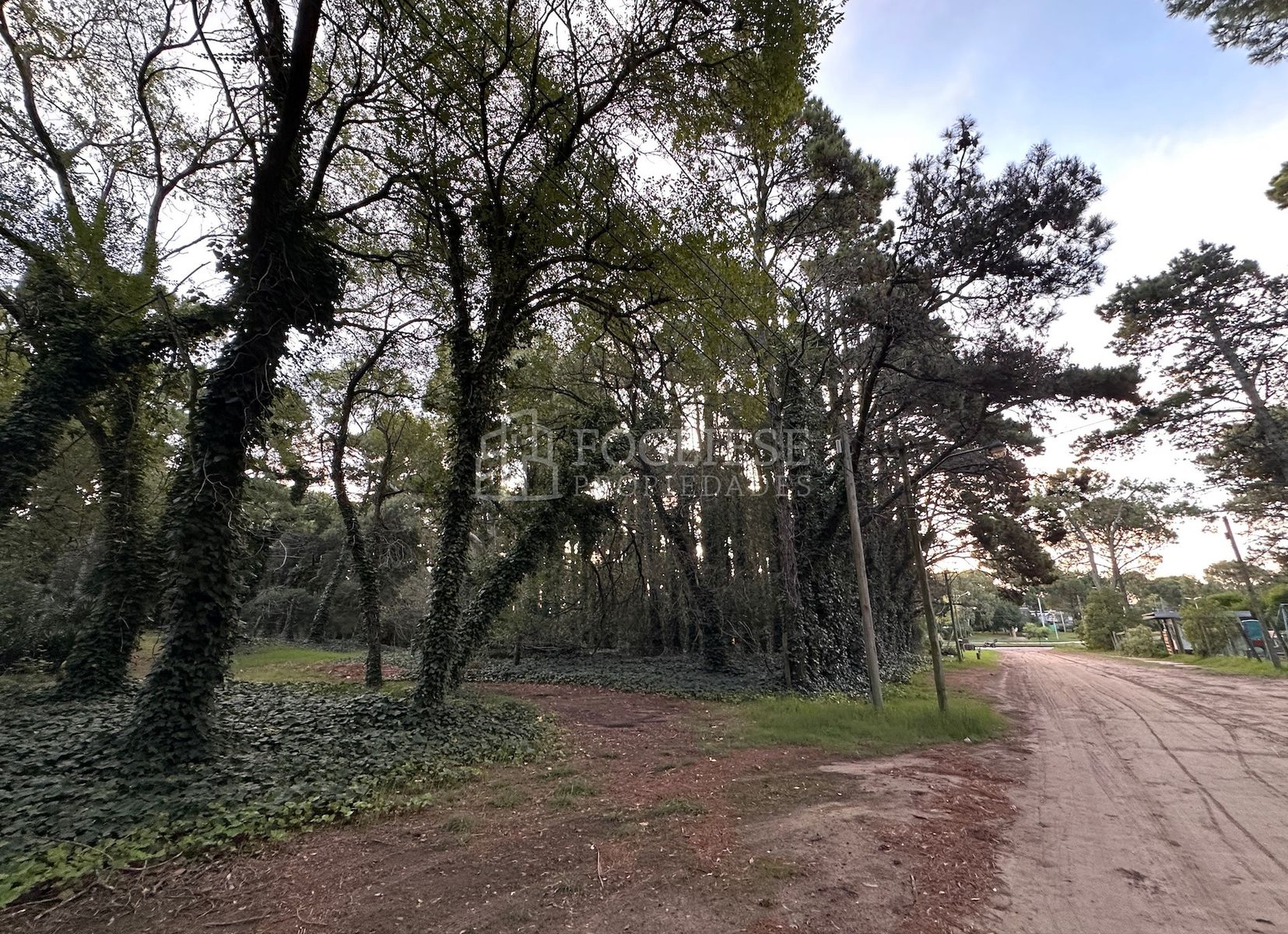 Lotes en Venta Zona Turistica Temática — foto 4