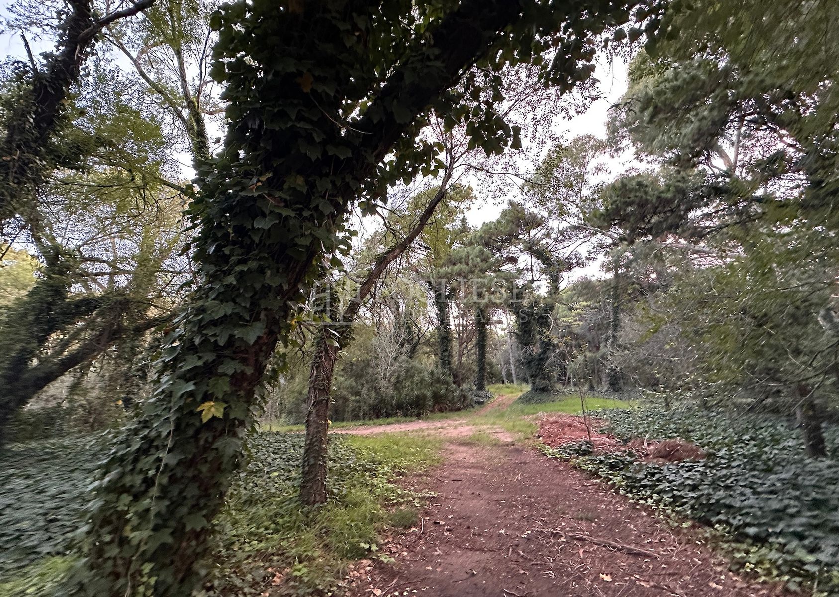 Lotes en Venta Zona Turistica Temática — foto 6