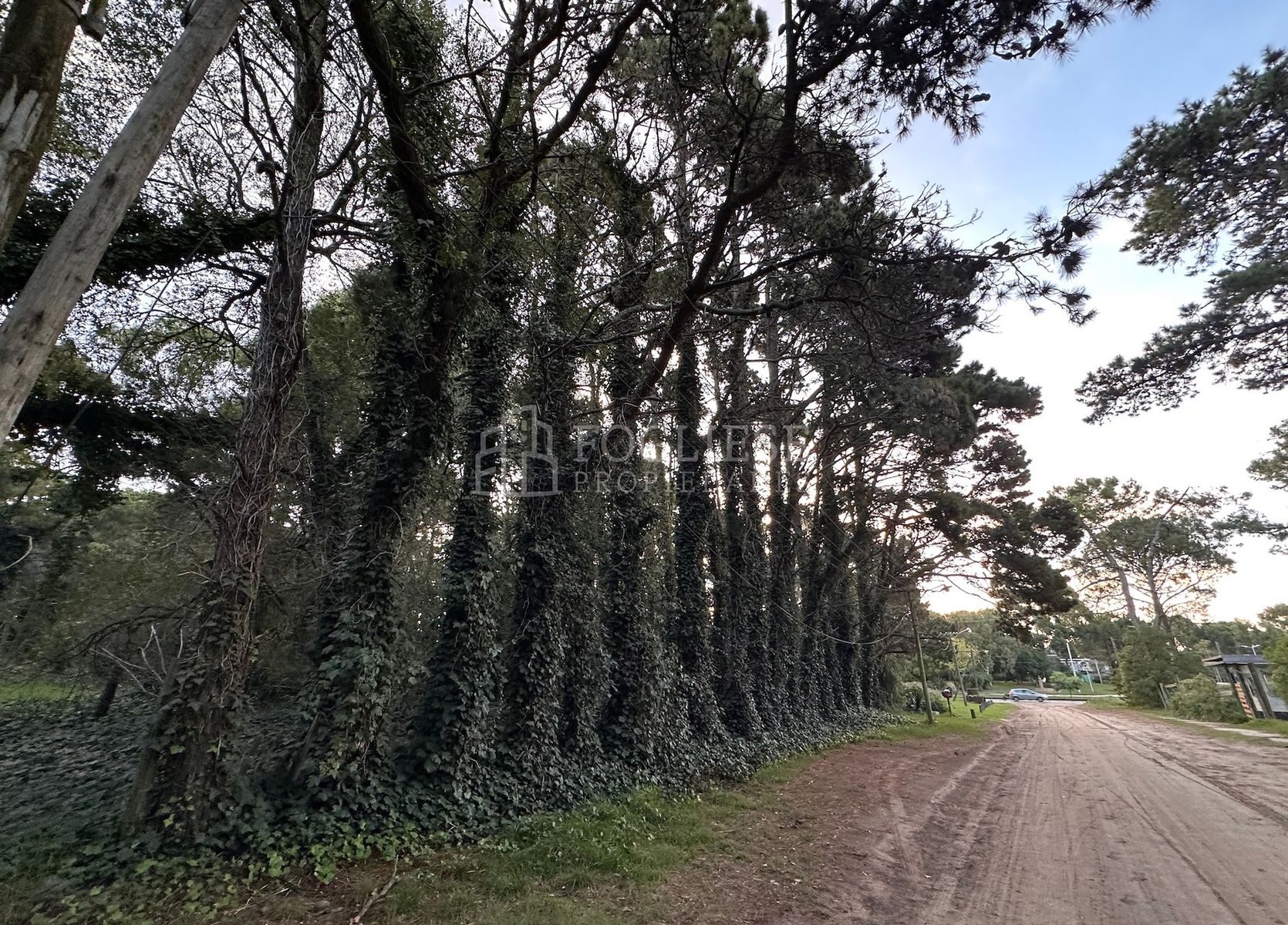 Lotes en Venta Zona Turistica Temática — foto 7
