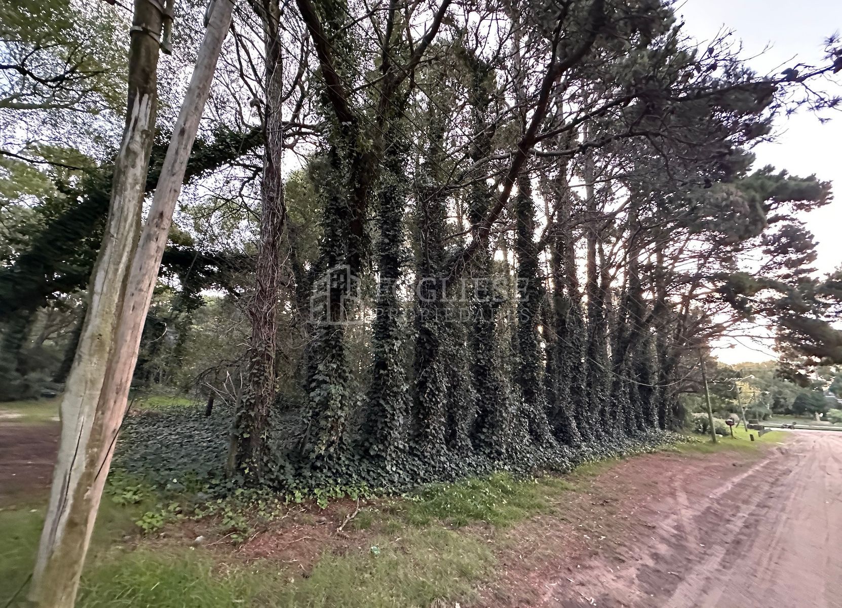 Lotes en Venta Zona Turistica Temática — foto 8