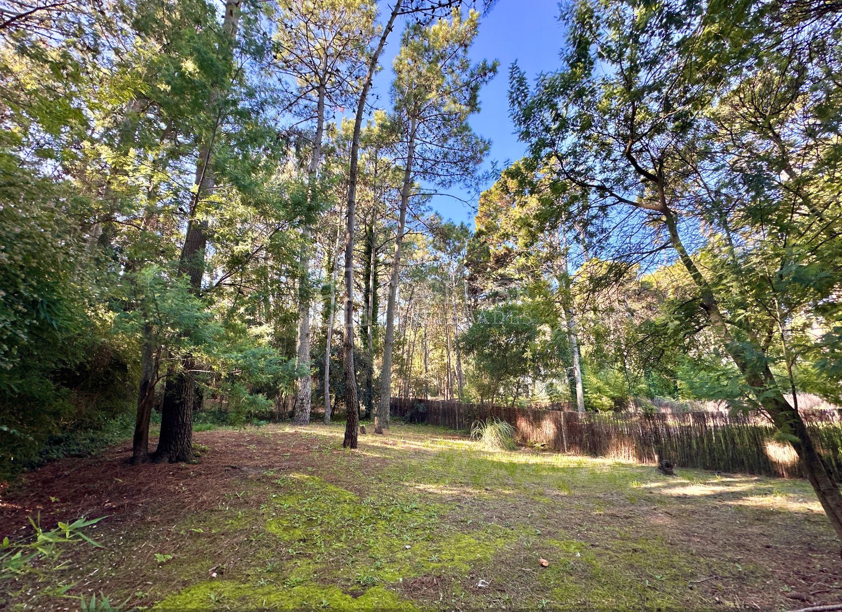 Excelente Casa de 4 ambientes en Mar de las Pampas — foto 2