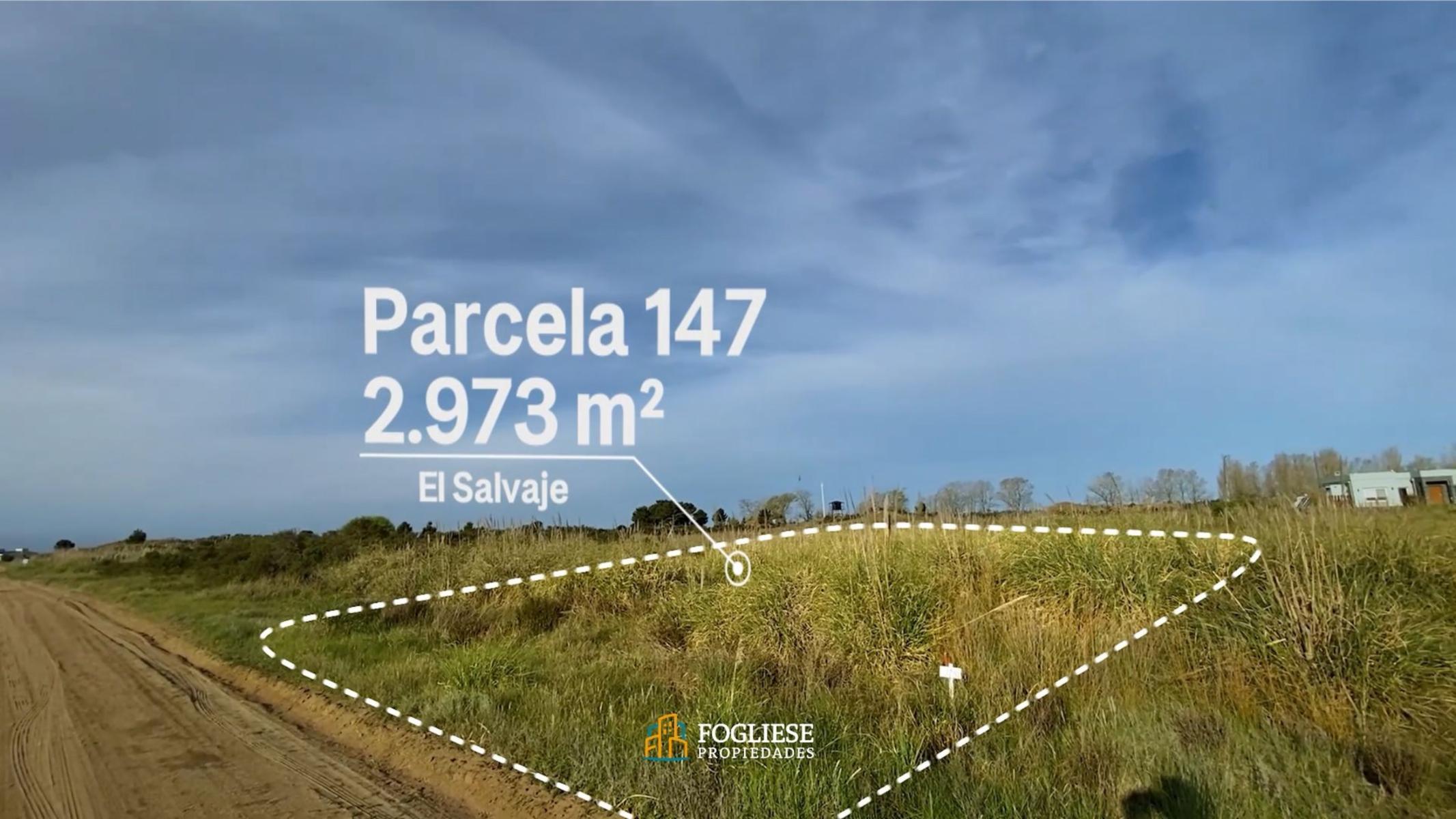 Lote de 2.973 m² en El Salvaje, exclusivo barrio de Chacras Maritimas — foto 4