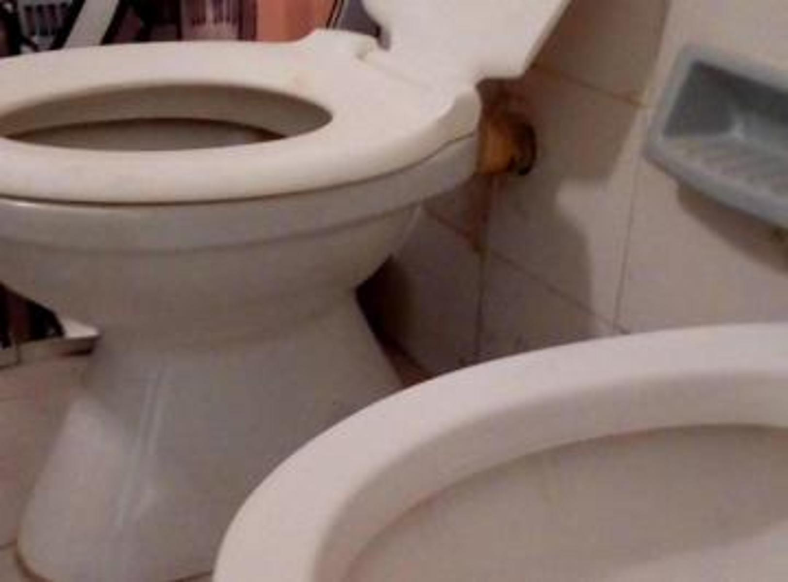 excelente 2 ambientes en facultad — foto 10