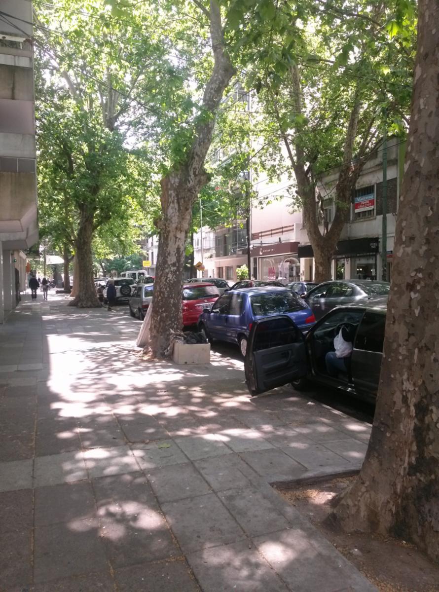 Departamento 3 ambientes - 12