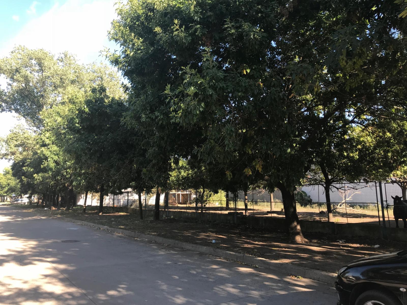 Terreno + Terreno y Local - Colectora Ruta 11 km5 (altura Puerto San Martín) — foto 5