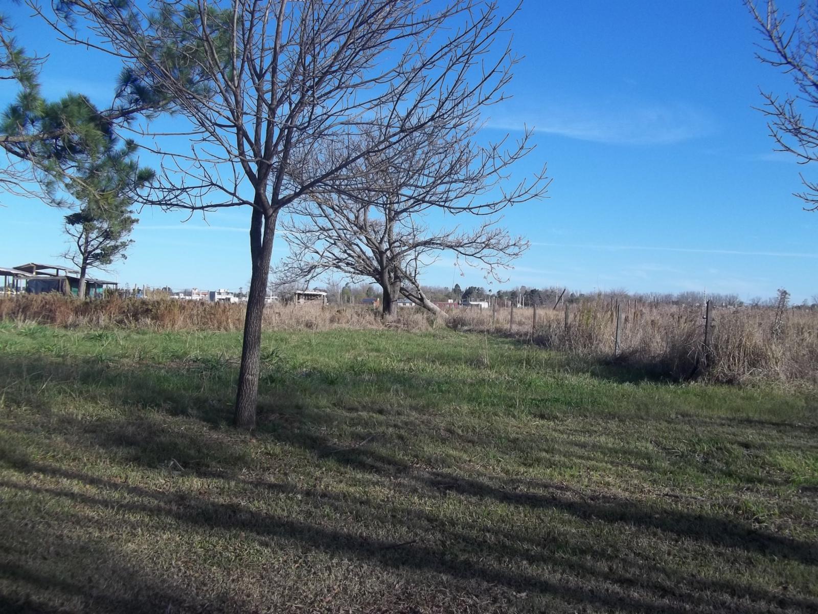 Terrenos en venta en Los Cedros - Roldán