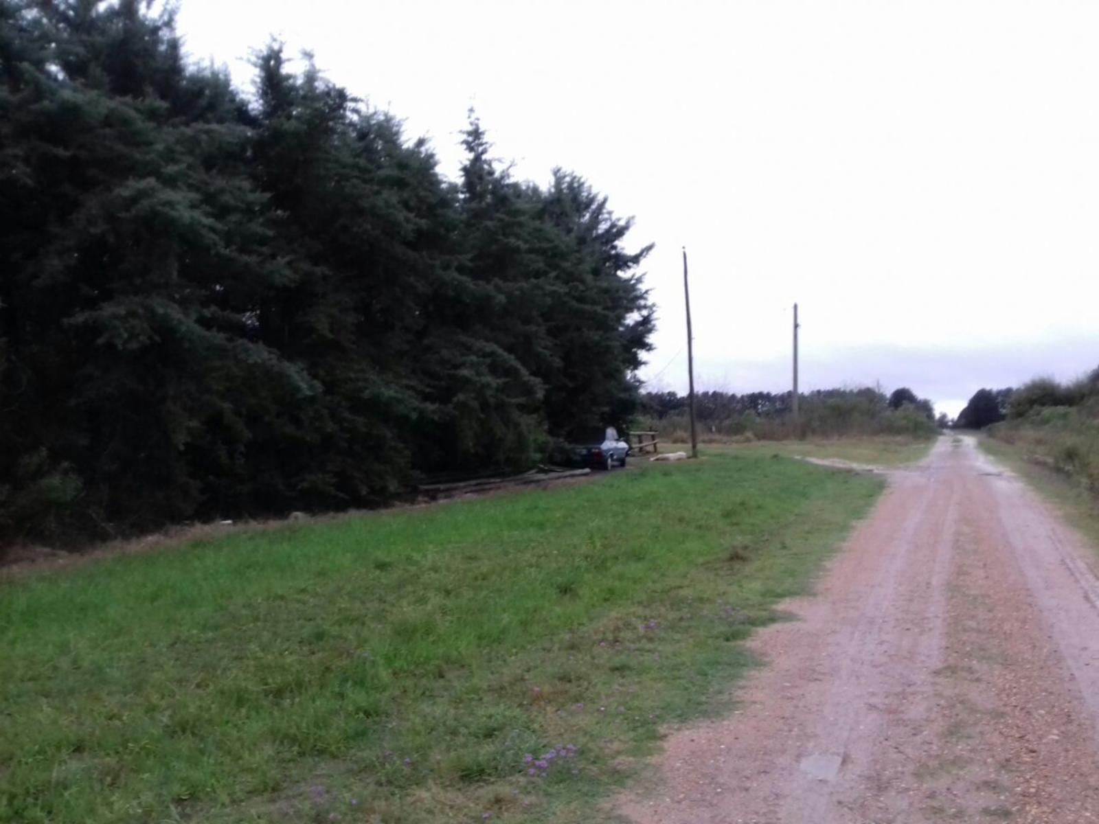 Federación Terreno 100 Mts de la Ruta y Escuela 5 minutos de las termas. - 7