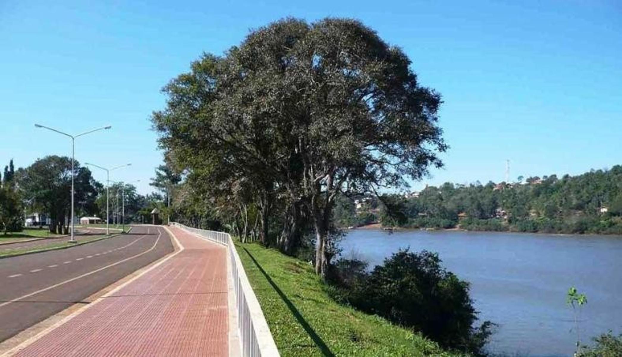 Federación Terreno 100 Mts de la Ruta y Escuela 5 minutos de las termas. - 12