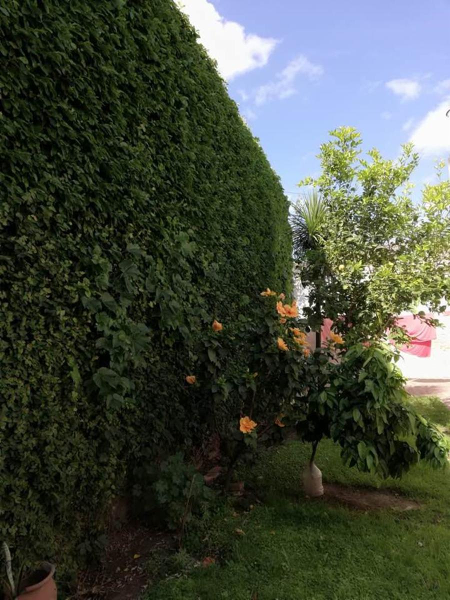 Propiedad de Categoria en Gualeguay — foto 13