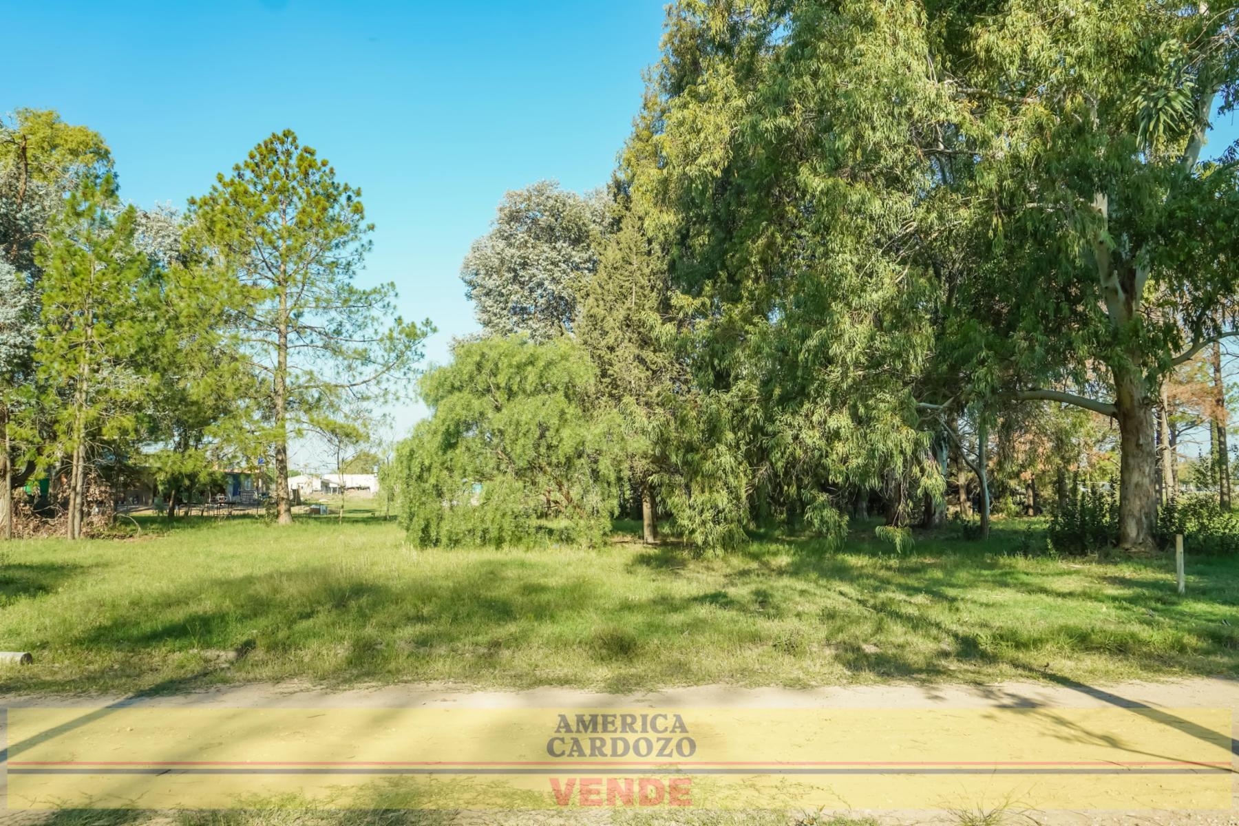 CONDOMINIO CAMPOS DE ABRIL LOTES DESDE 800 M2 — foto 4