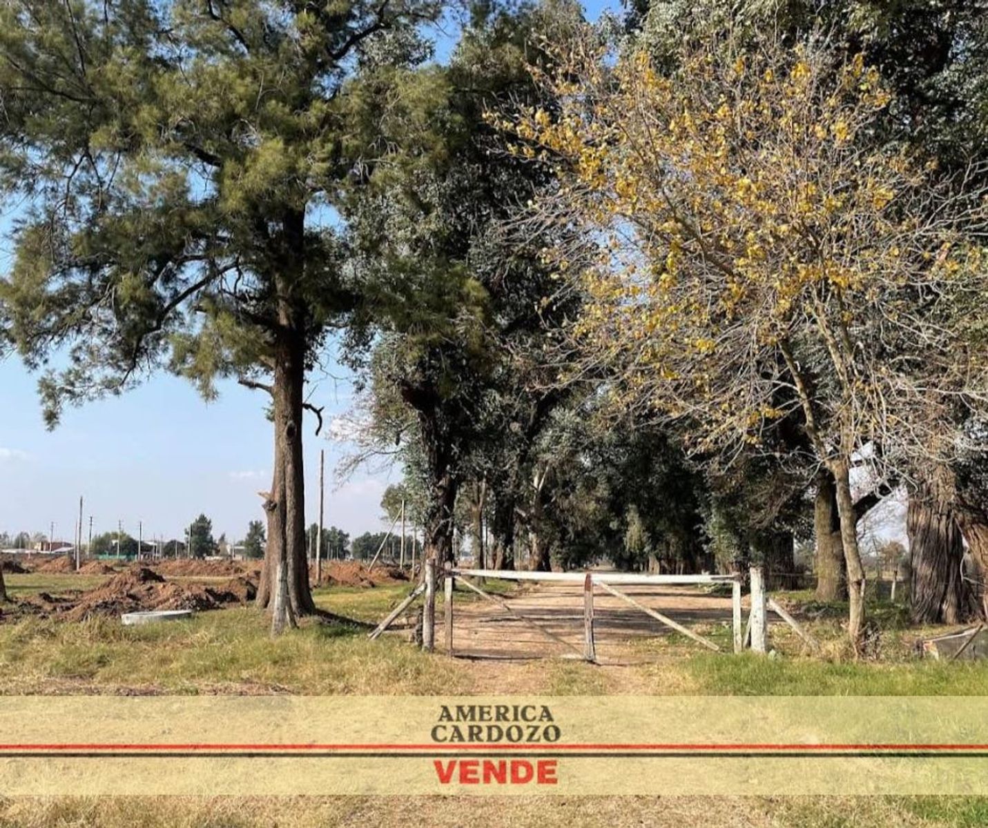 LOTEO LA ESTANCIA GRAL. RODRIGUEZ DESDE 240 M2 80 FINANCIADO — foto 3