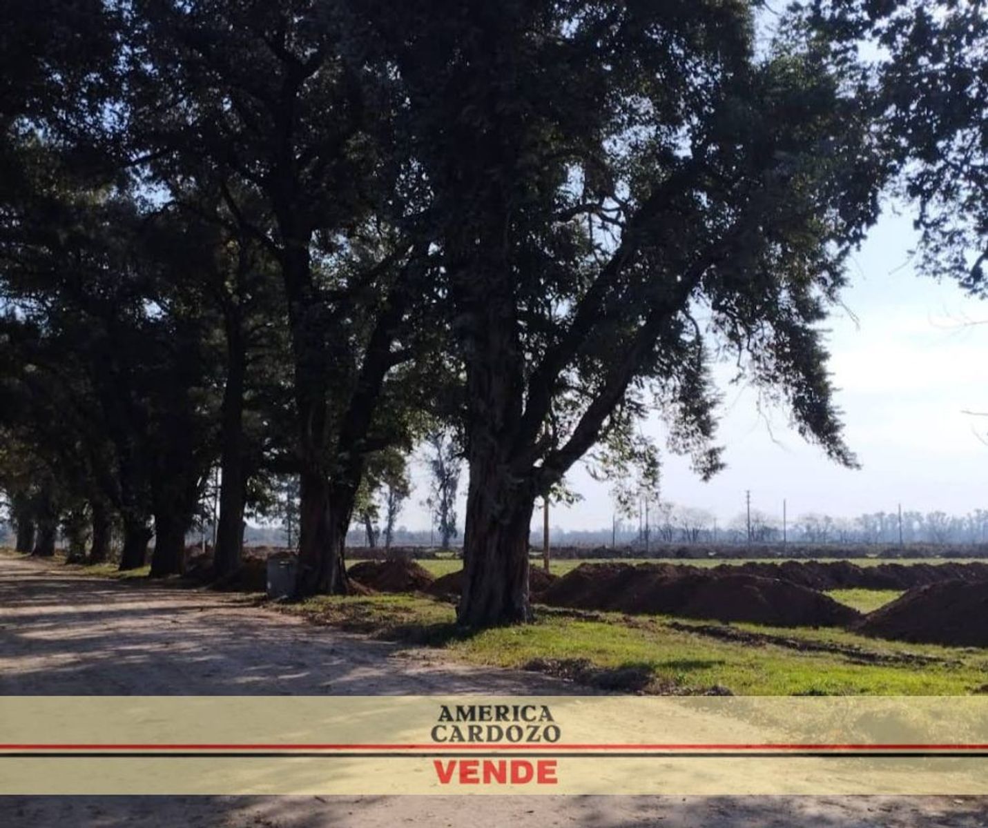 LOTEO LA ESTANCIA GRAL. RODRIGUEZ DESDE 240 M2 80 FINANCIADO — foto 5