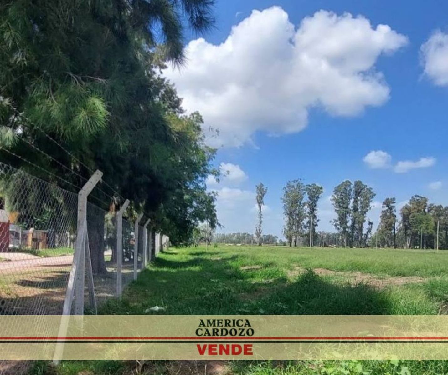 LOTEO LA ESTANCIA GRAL. RODRIGUEZ DESDE 240 M2 80 FINANCIADO — foto 7