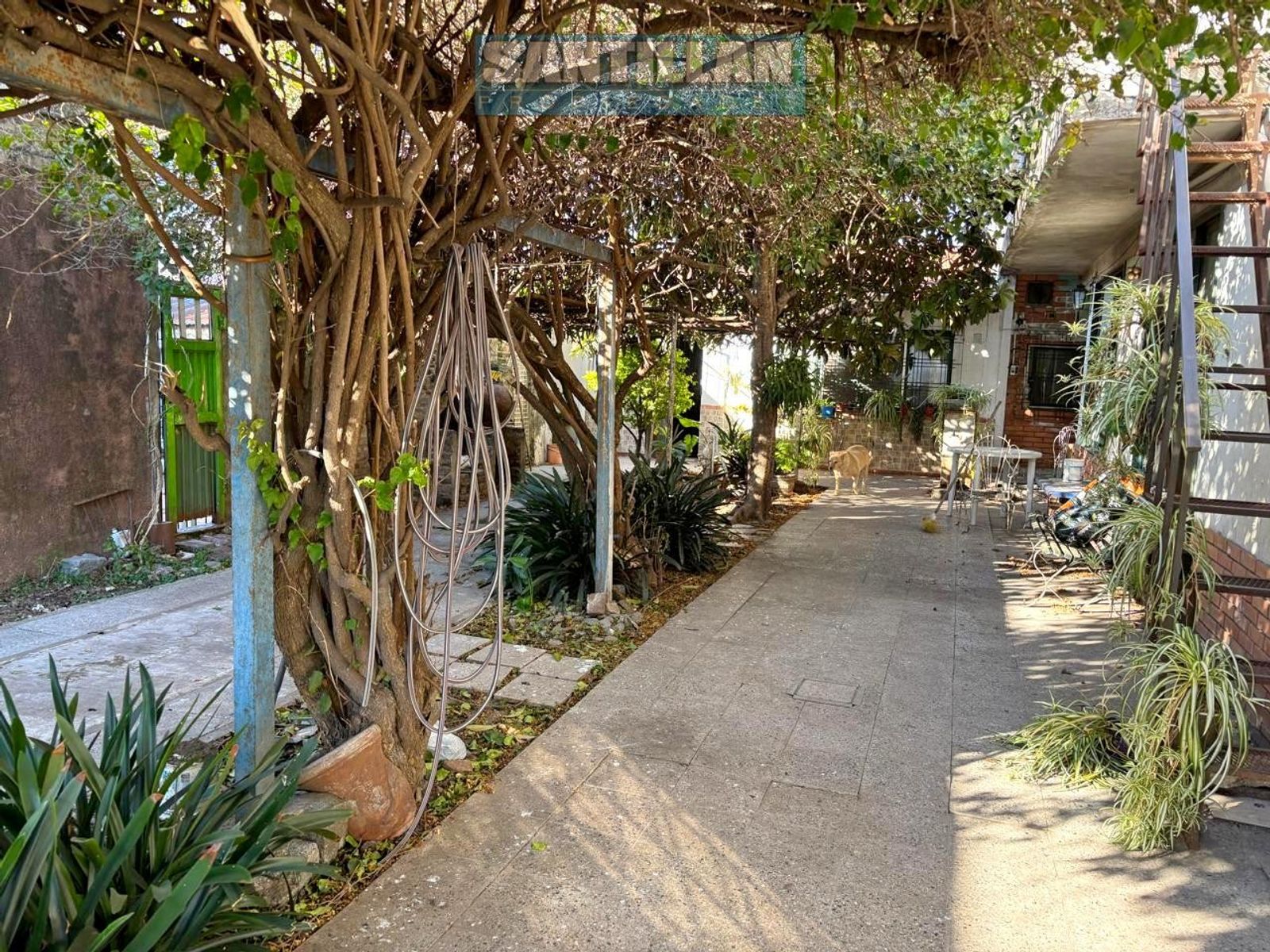 CASA MULTIFAMILIAR - APTA TODO DESTINO - LINDA ZONA DE RAFAEL CASTILLO — foto 5