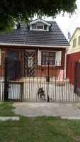 Duplex en Mar del Tuyu