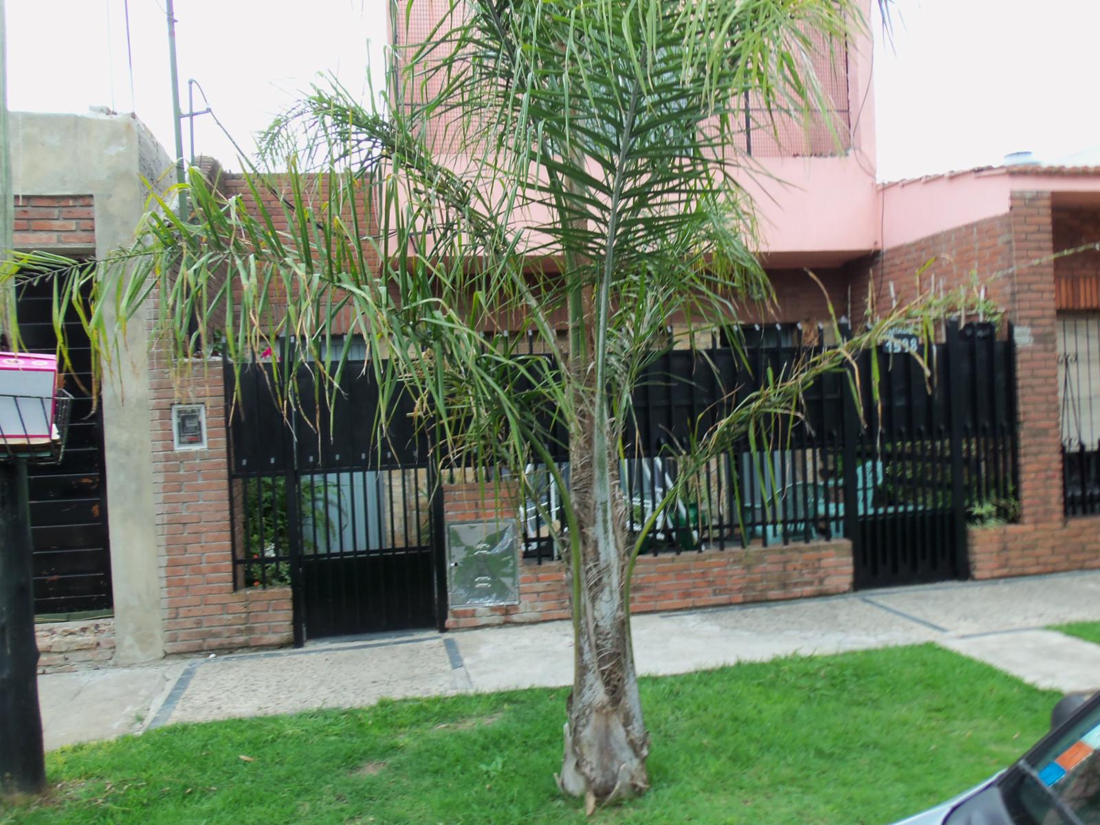 CASA 3 A. Y DEPTO. 2 A