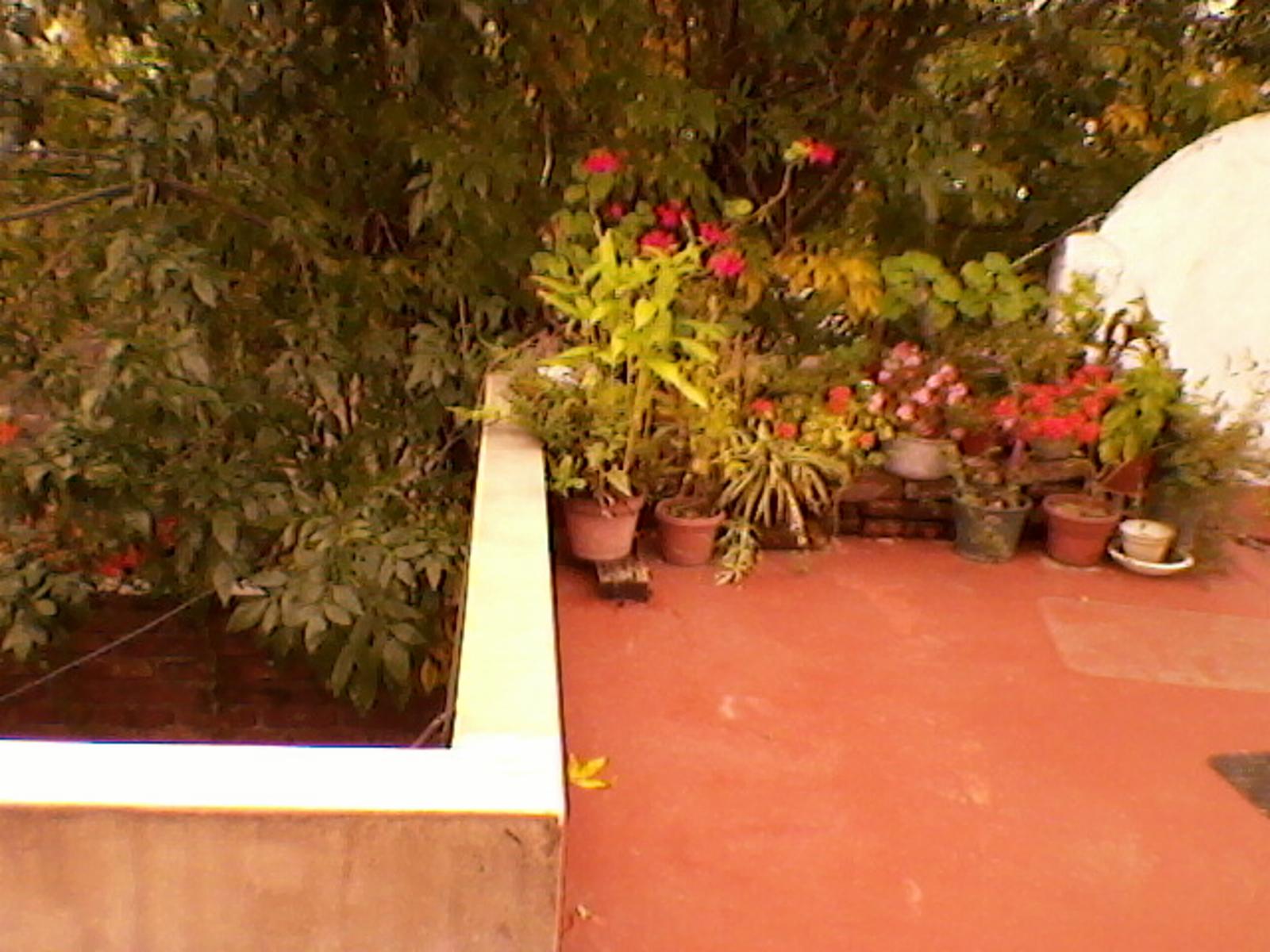 2 PH AMPLIO CON PATIO Y TERRAZA — foto 7