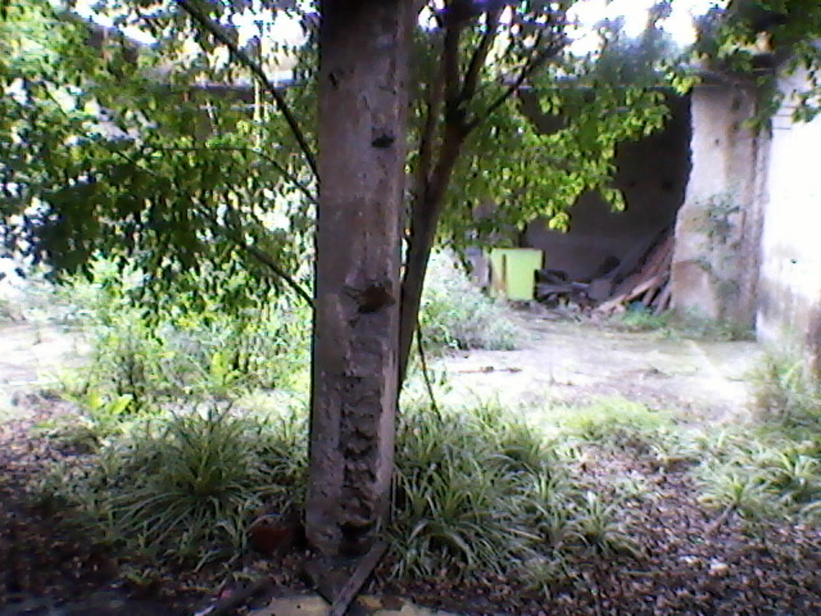 Galpon sobre lote 8,66x 37 mts. — foto 4