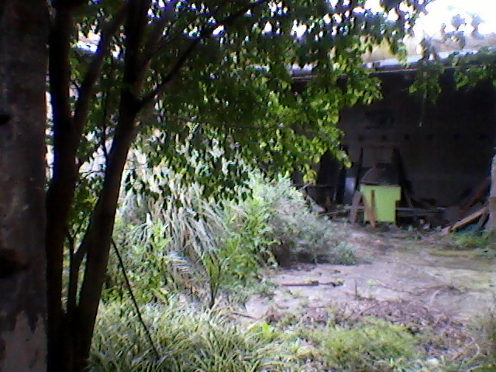 Galpon sobre lote 8,66x 37 mts. — foto 6