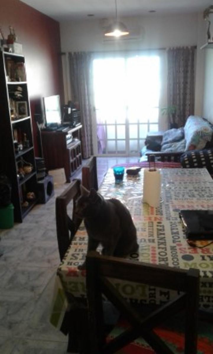 HERMOSO 2 AMBIENTES RAMOS MEJIA MUY BUENA UBICACION — foto 9
