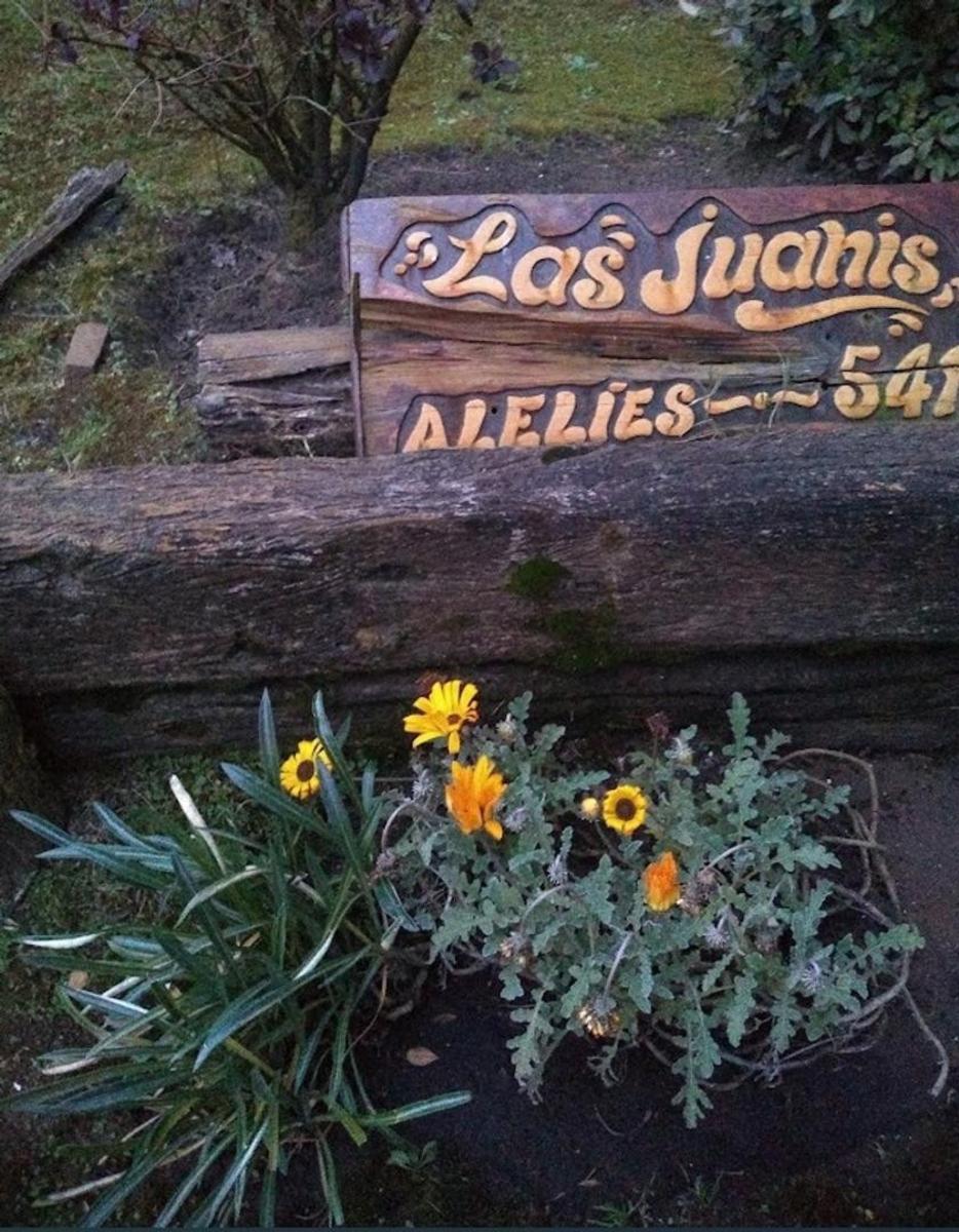 ALQUILER TEMPORARIO - CASA 3 AMBIENTES CON JARDIN Y COCHERA -COSTA DEL ESTE — foto 4