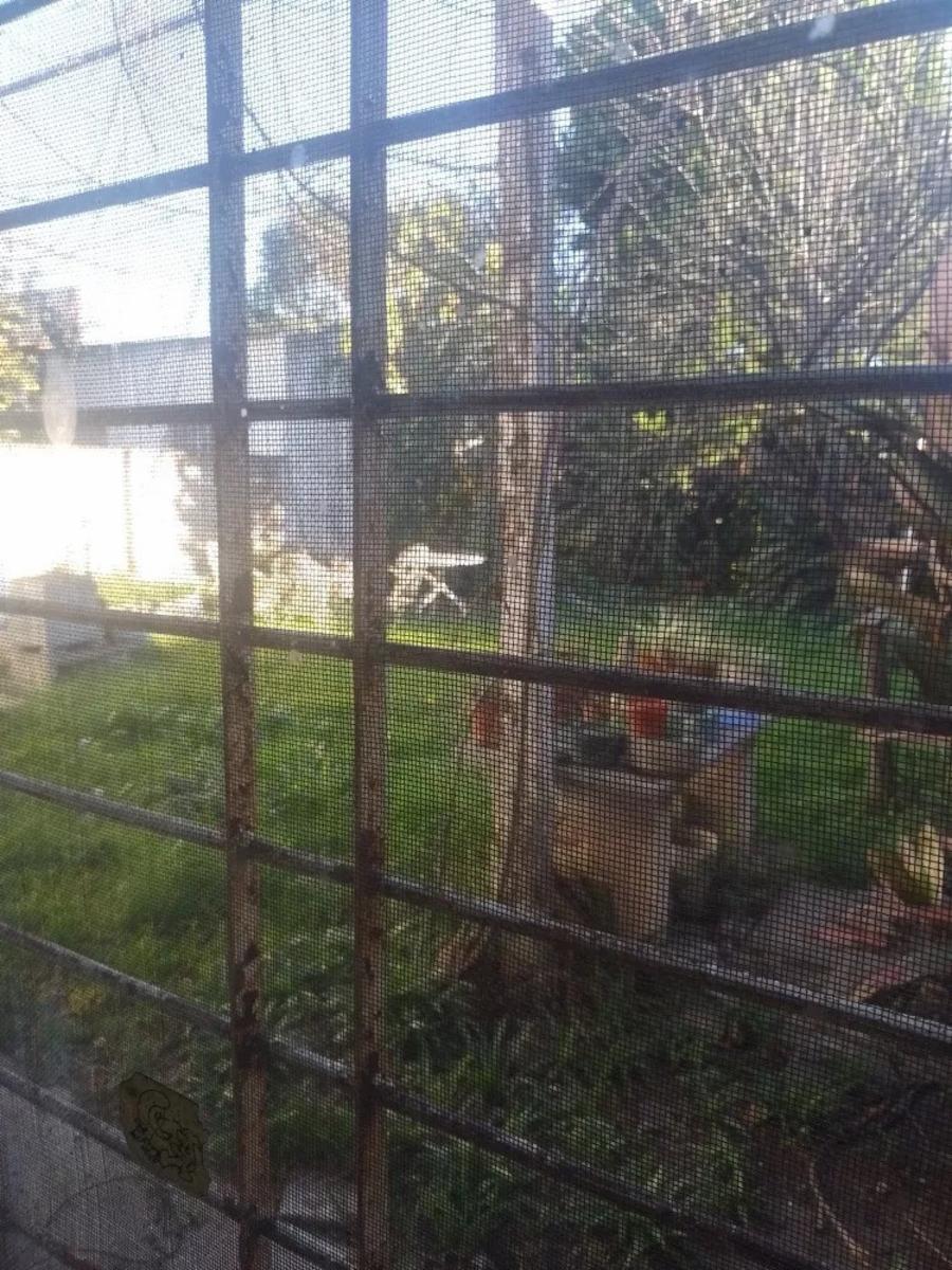 CASA 4 AMBIENTES CON FONDO,TERRAZA Y COCHERA - EL PALOMAR — foto 14
