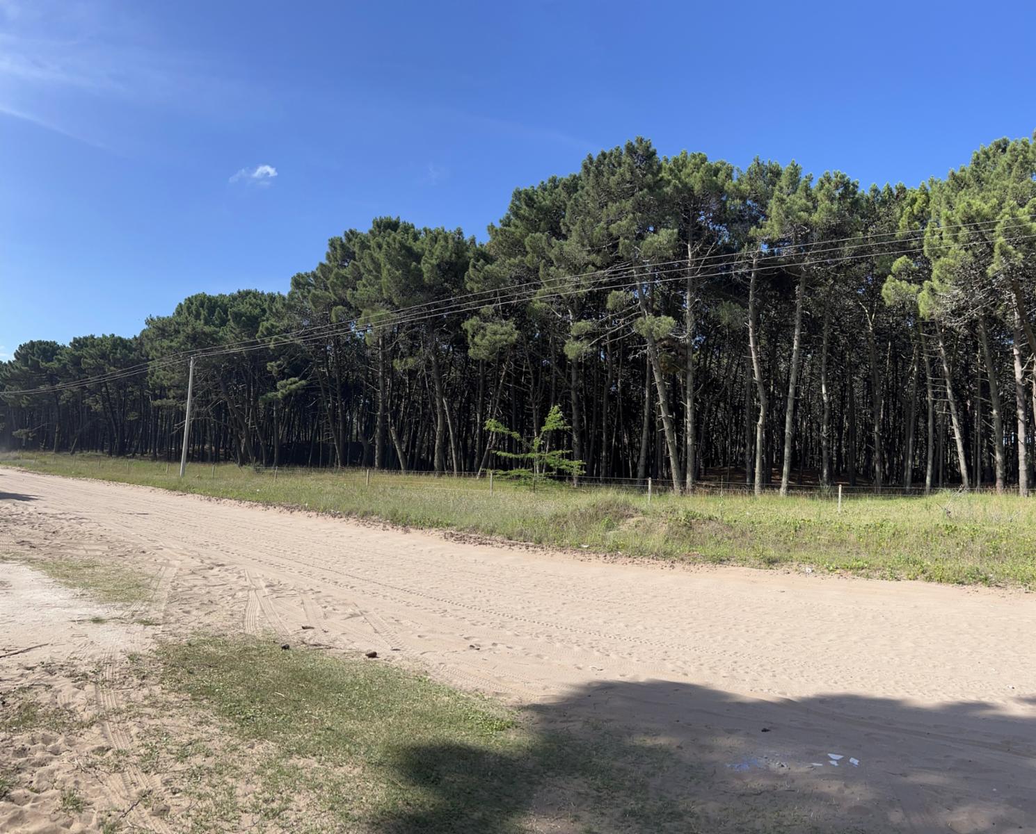 Duplex 3 Ambientes Cochera y Jardin Pinamar - 14