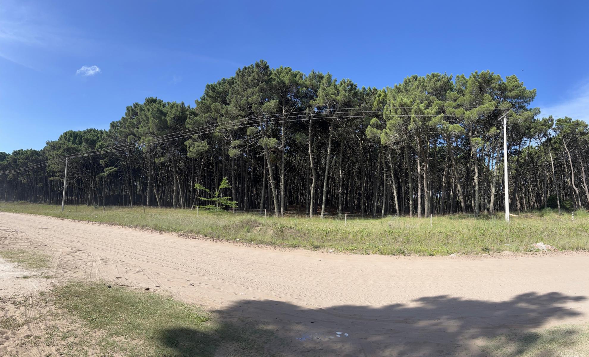 Duplex 3 Ambientes Cochera y Jardin Pinamar - 15