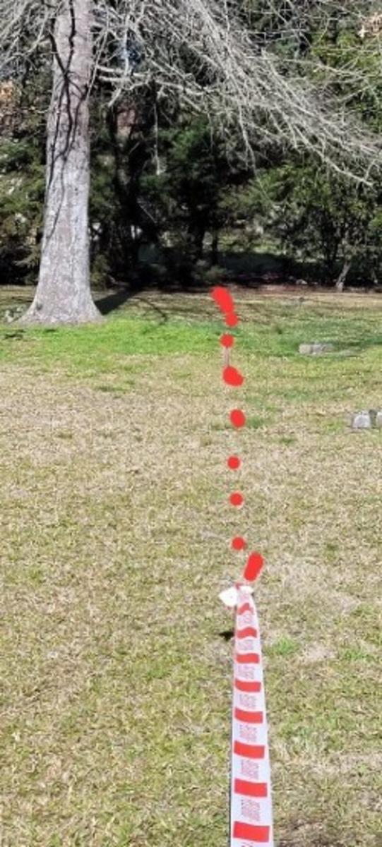VENTA LOTE CLUB DE CAMPO LAS PREDICES — foto 10