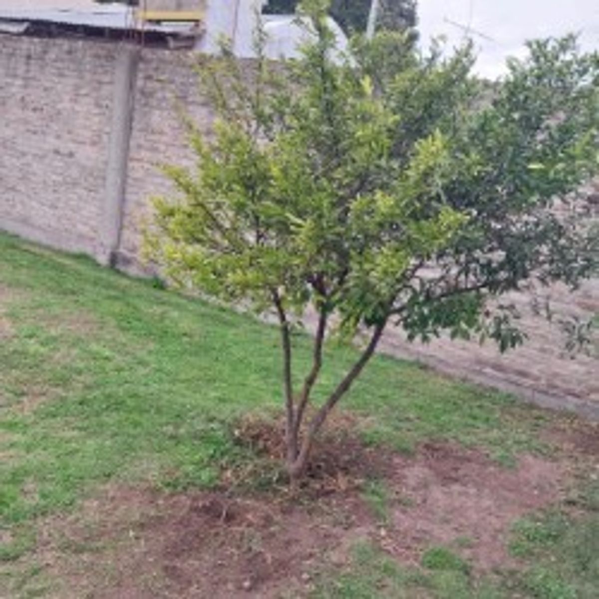 VENTA - CASA 5 AMBIENTES MORENO — foto 11