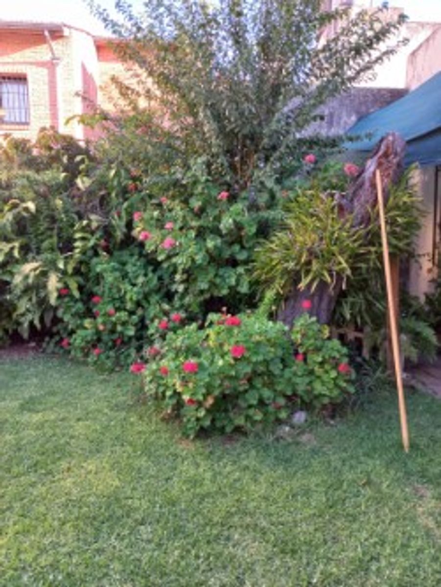 Venta - Casa 3 Ambientes con Jardin y Terraza Morón — foto 10