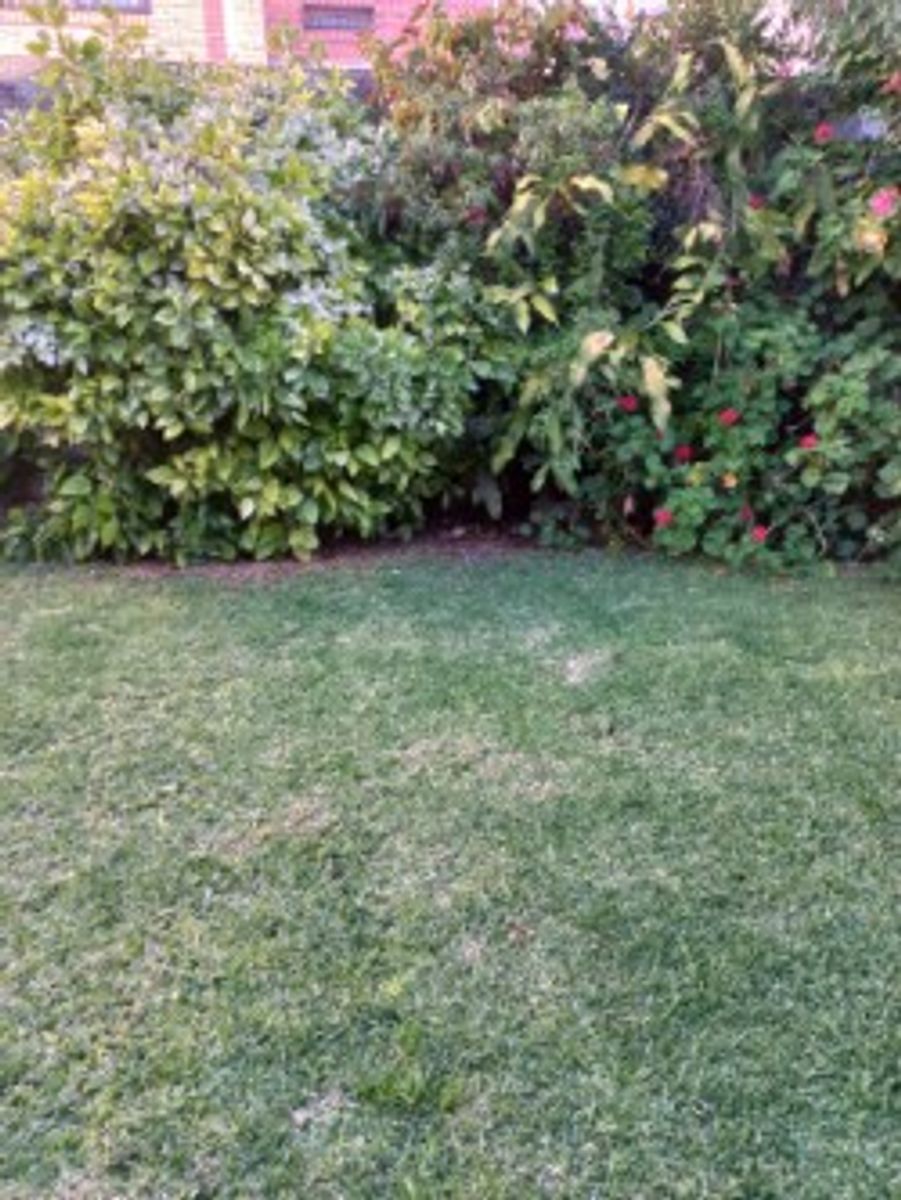 Venta - Casa 3 Ambientes con Jardin y Terraza Morón — foto 11