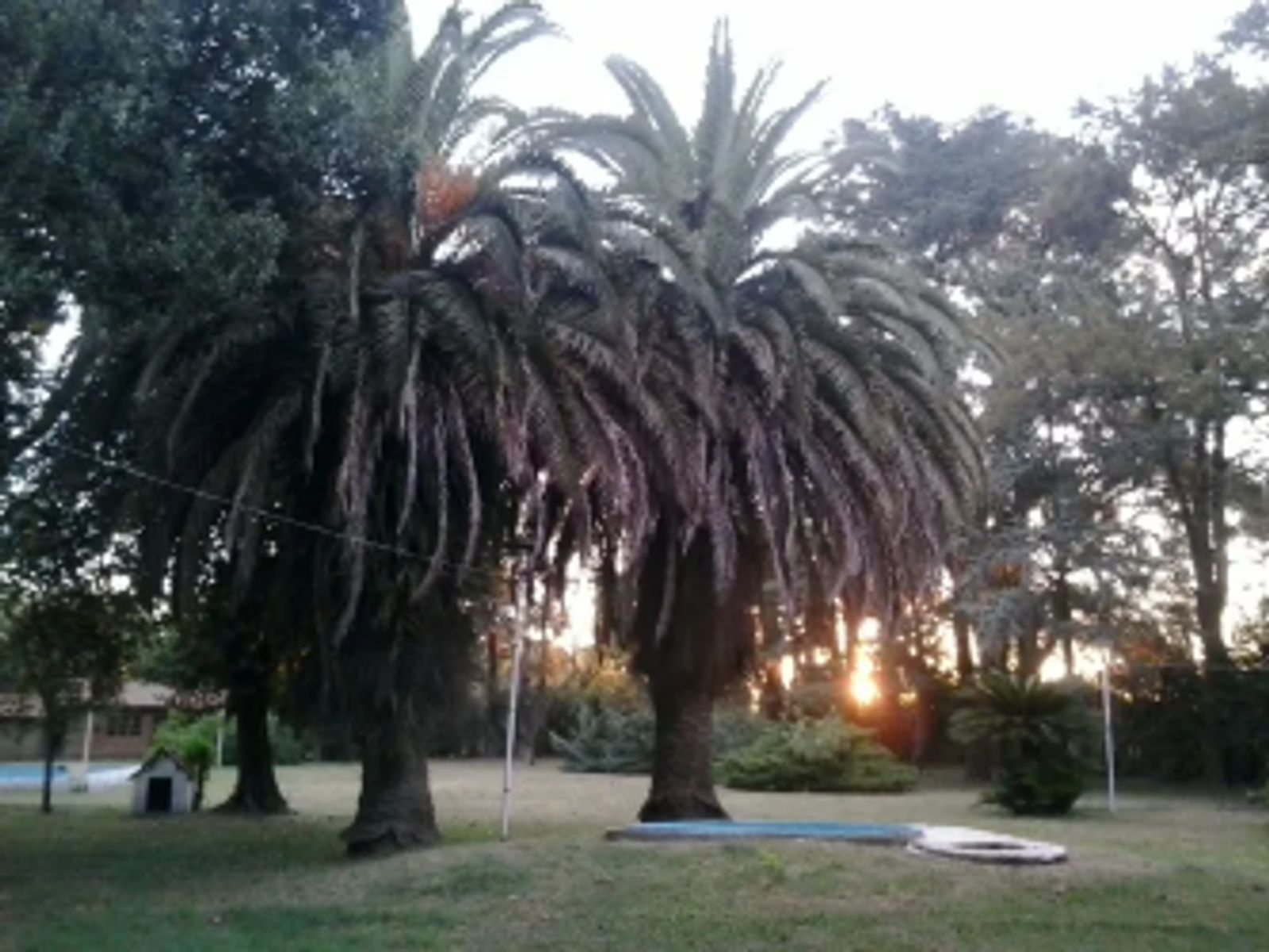 VENTA - CASA QUINTA PONTEVEDRA MERLO - 12