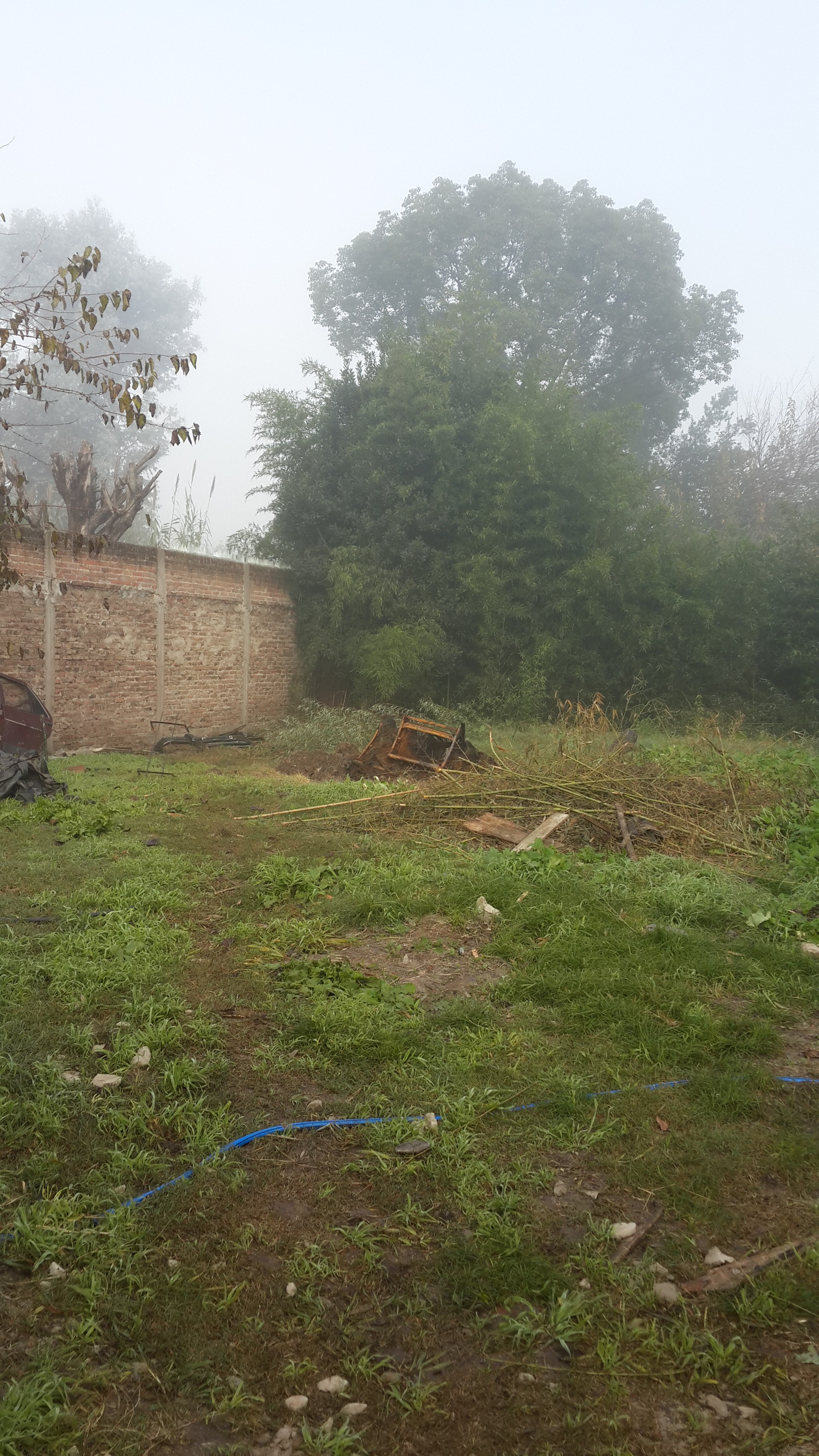 CASA LOTE PROPIO — foto 4