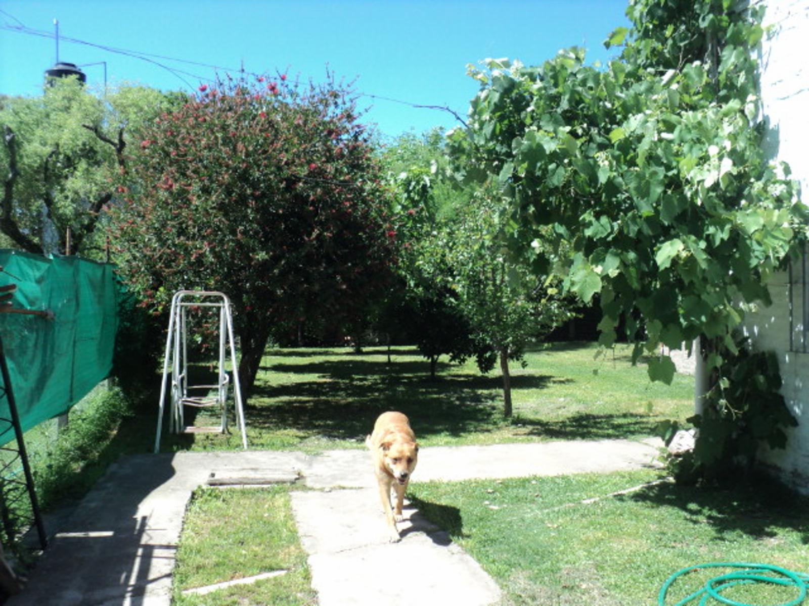 Hermosa Casa en Barrio Zapiola, con cercanía a Acceso Oeste — foto 5