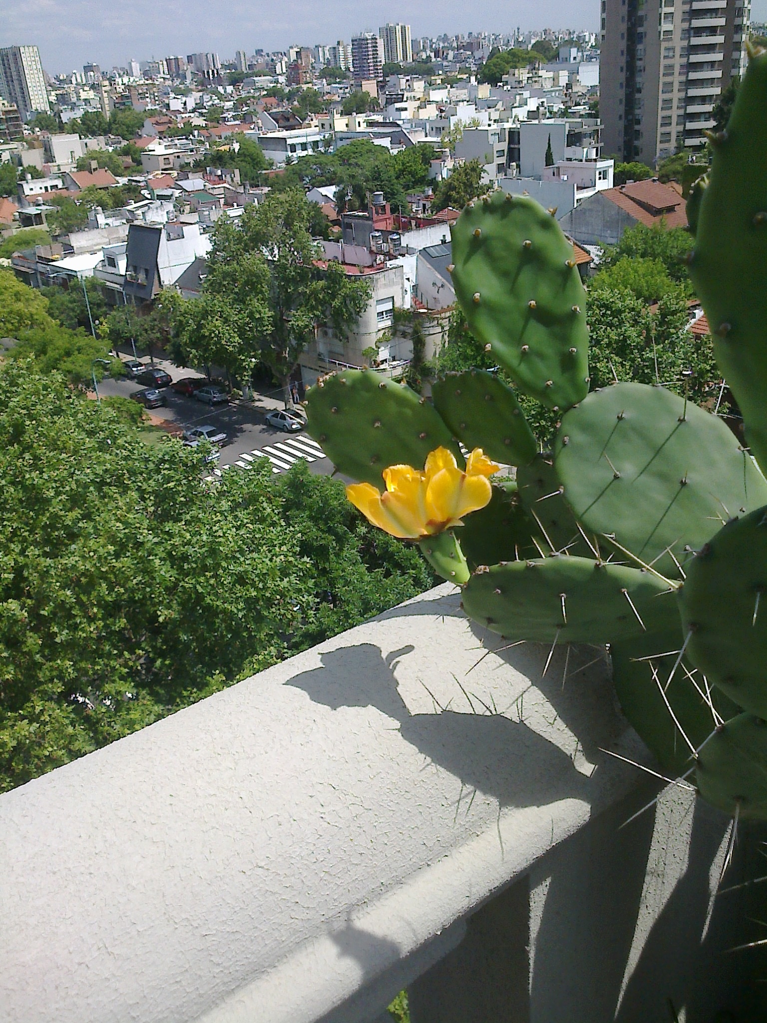 INCREIBLE DEPARTAMENTO EXCELENTE ESTADO SOBRE AVDA. SAN ISIDRO LABRADOR — foto 2