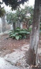 Casa en V.G.G — foto 5